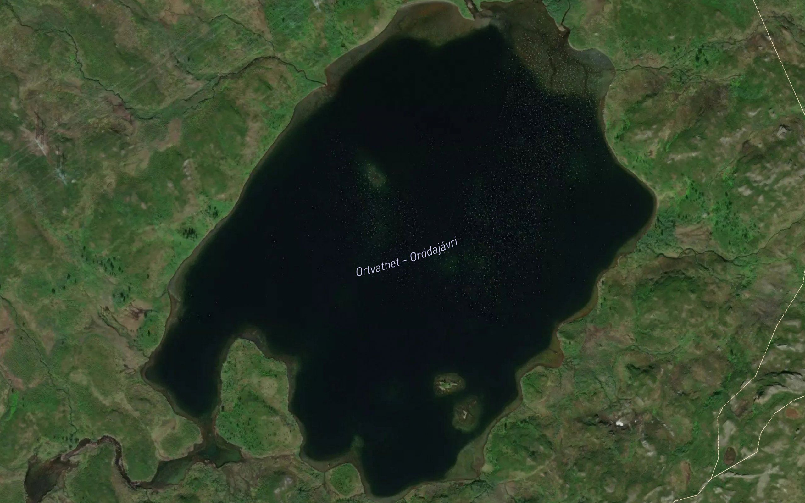 Ardajavri