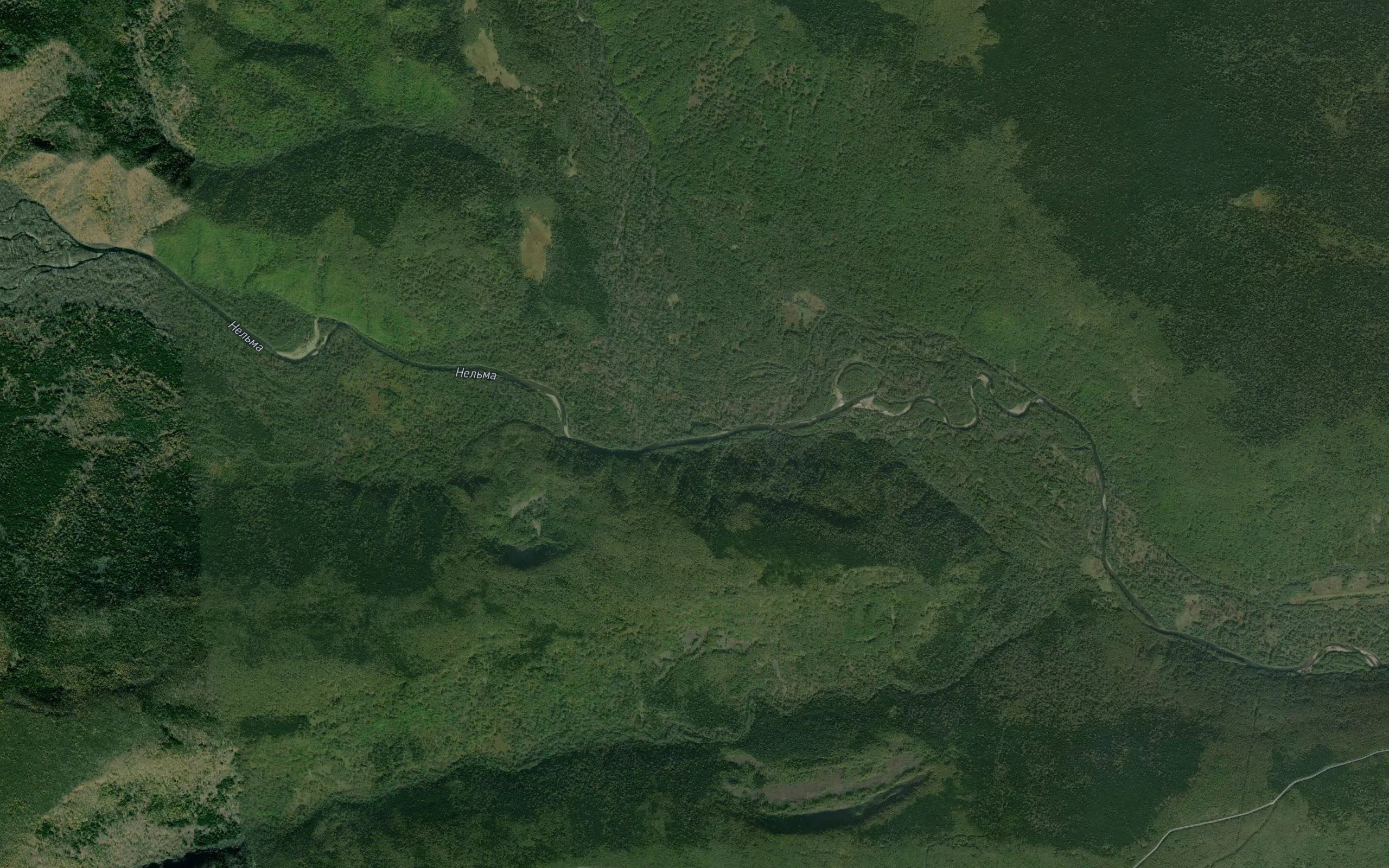 Neu