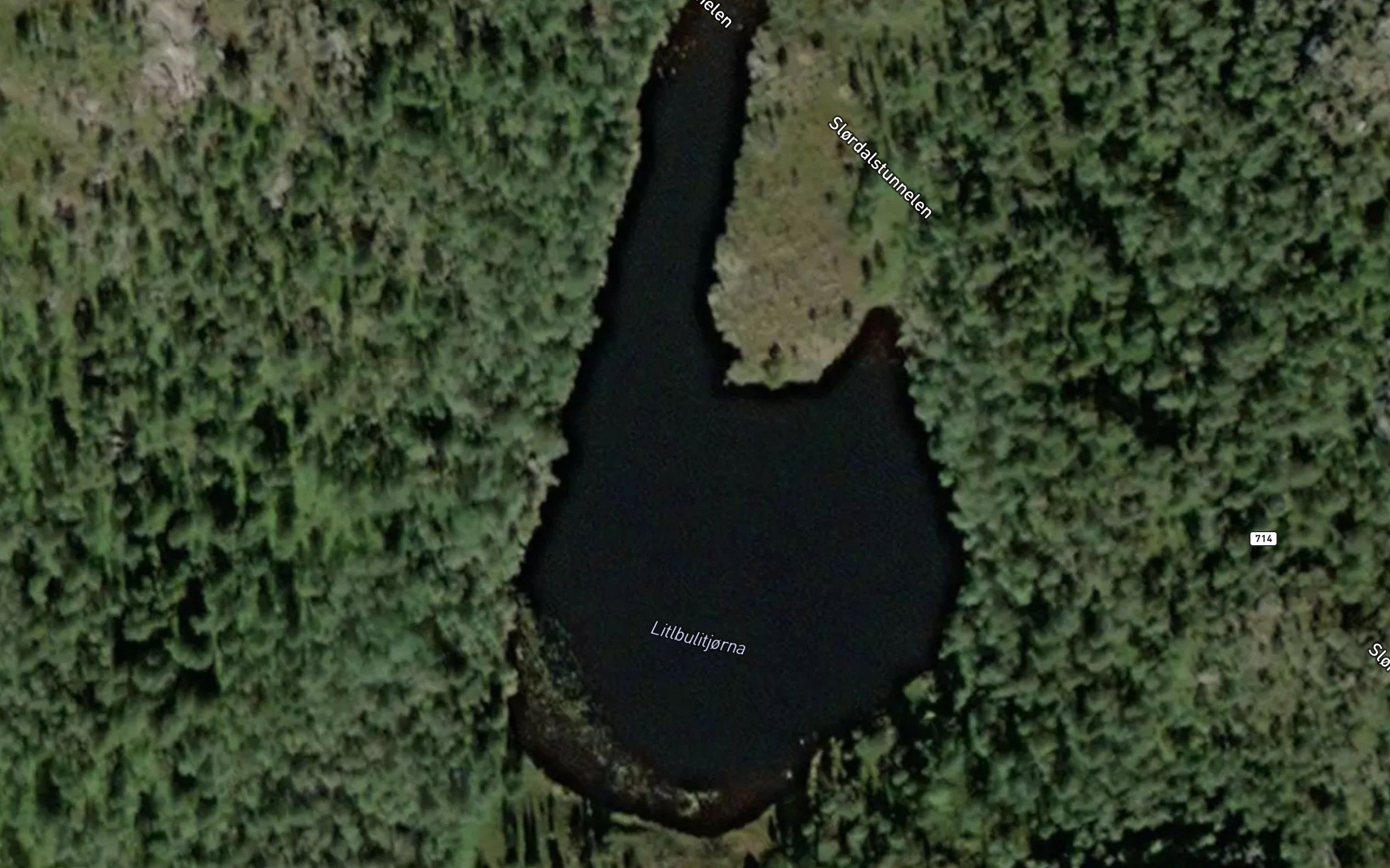 Litlbulitjorna