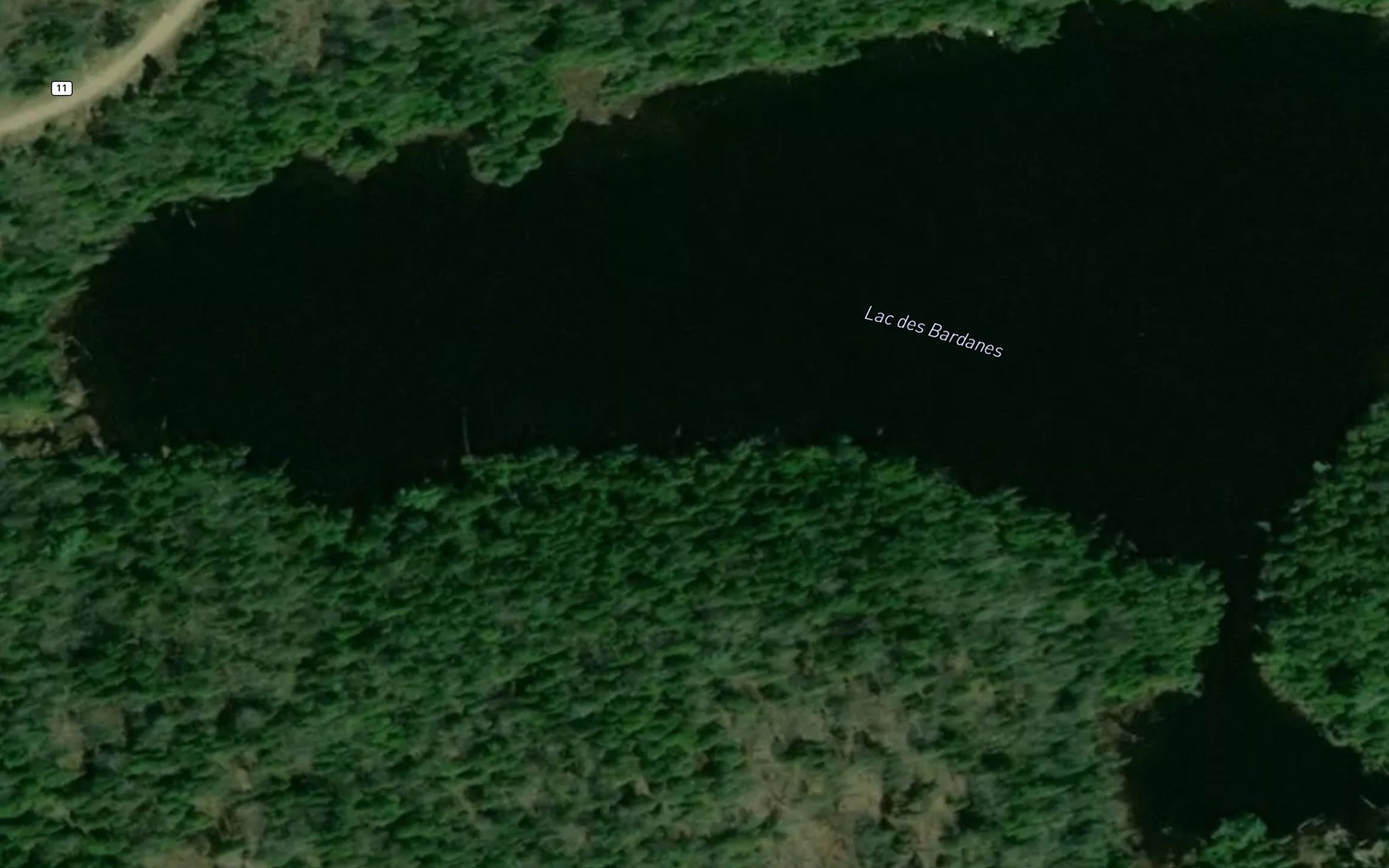 Satellite map of the Lac des Bardanes