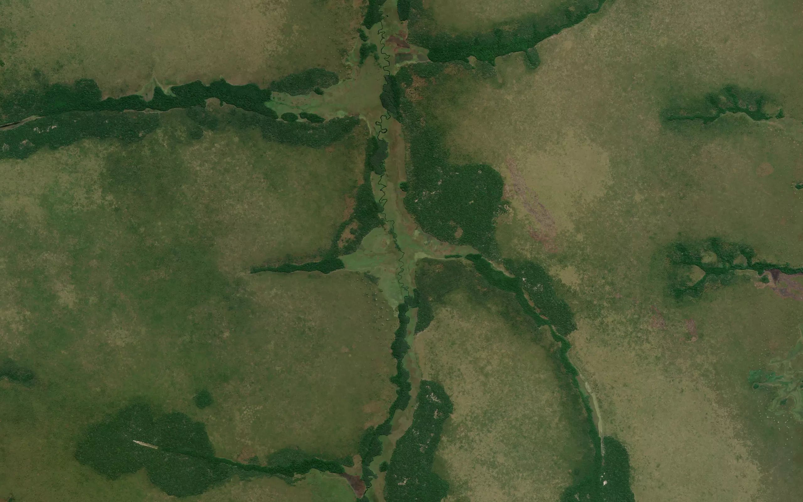 Munenga