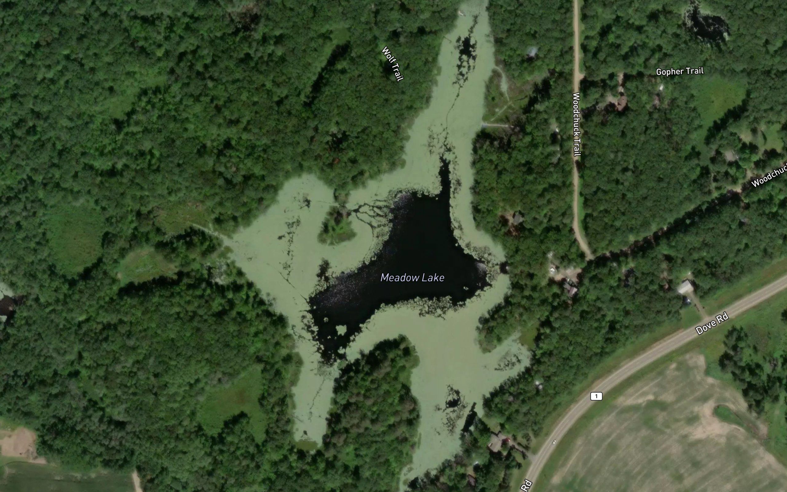 Meadow Lake