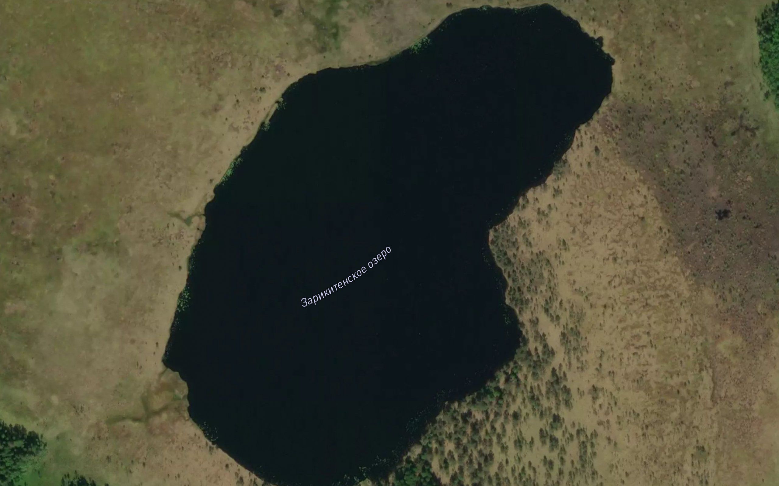 Zarikitsenskoye Ozero