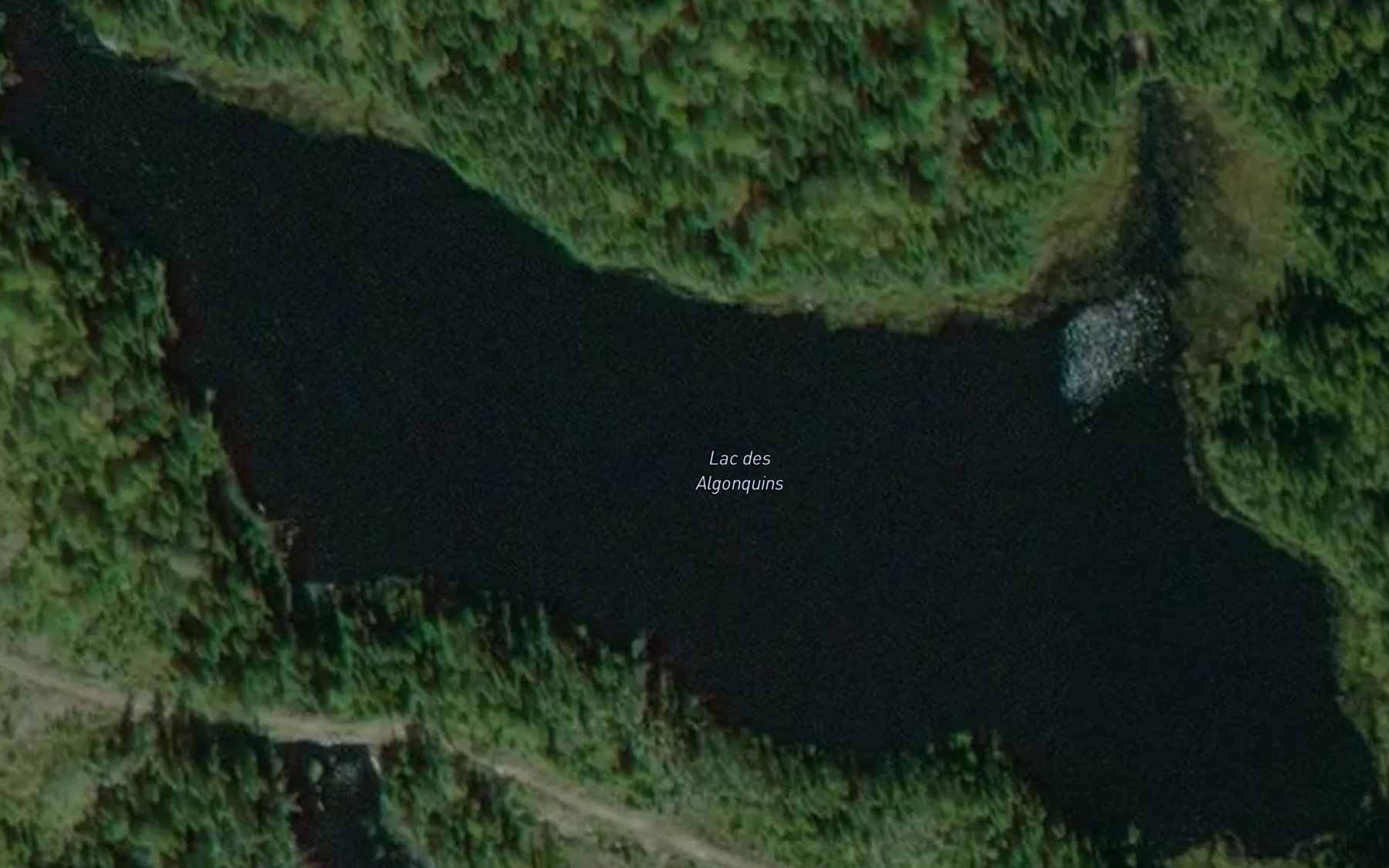Satellite map of the Lac des Algonquins