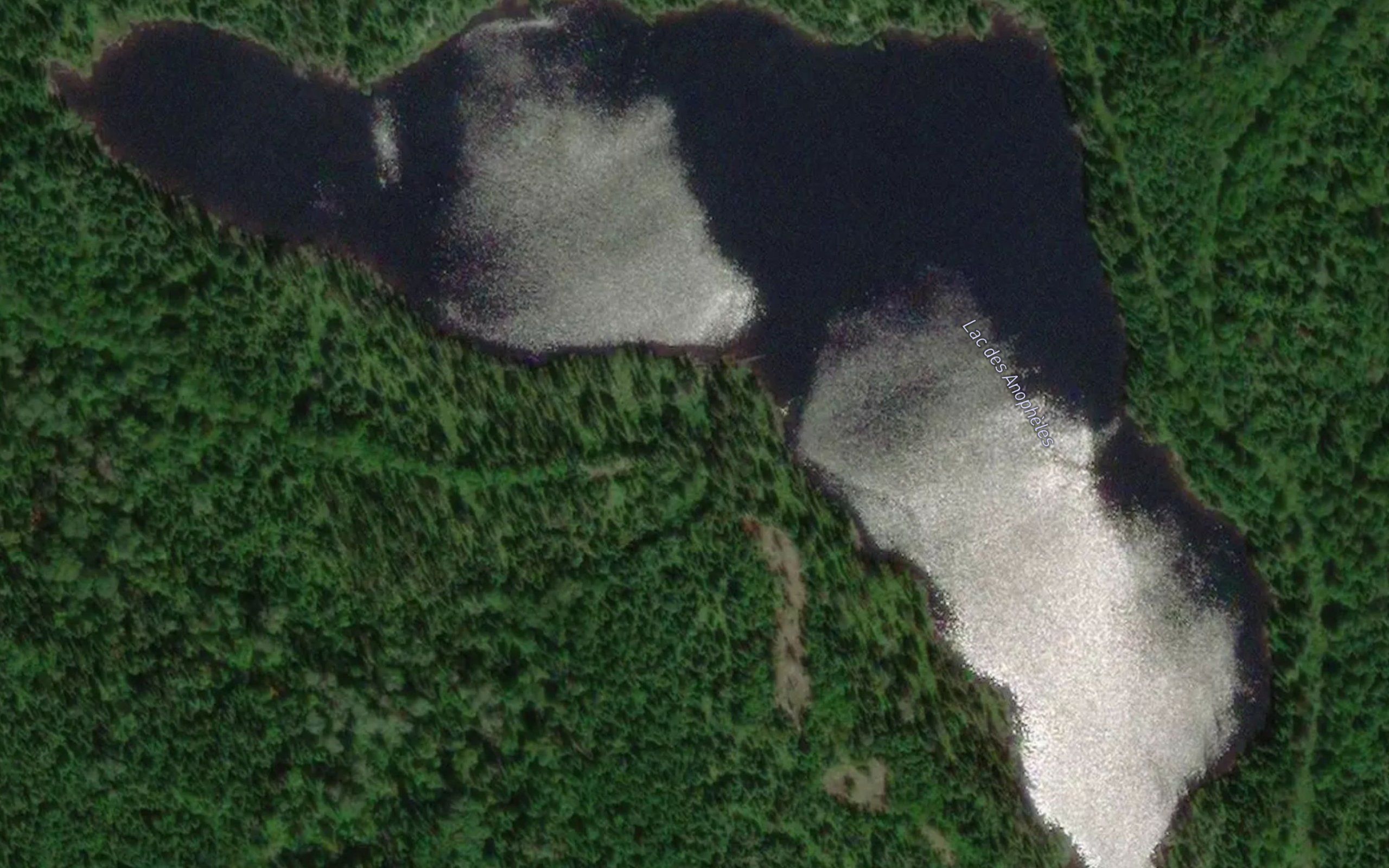 Lac des Anopheles
