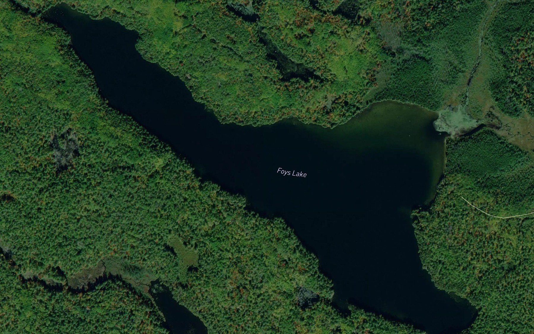 Satellite map of the Foys Lake