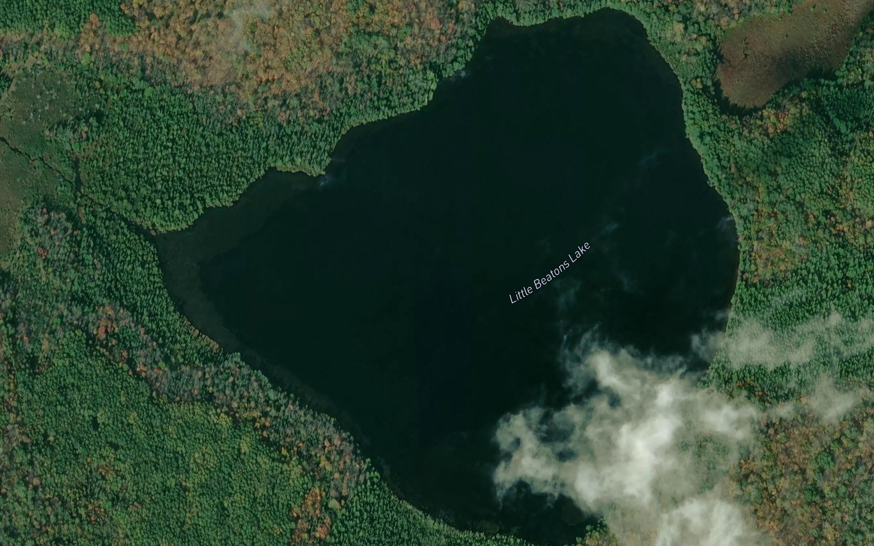 Satellite map of the Little Beatons Lake