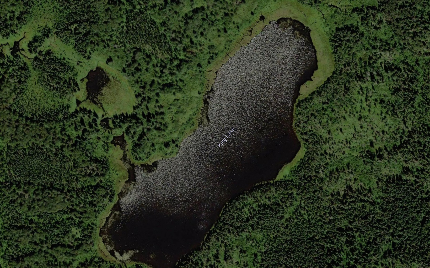 Satellite map of the King Lake