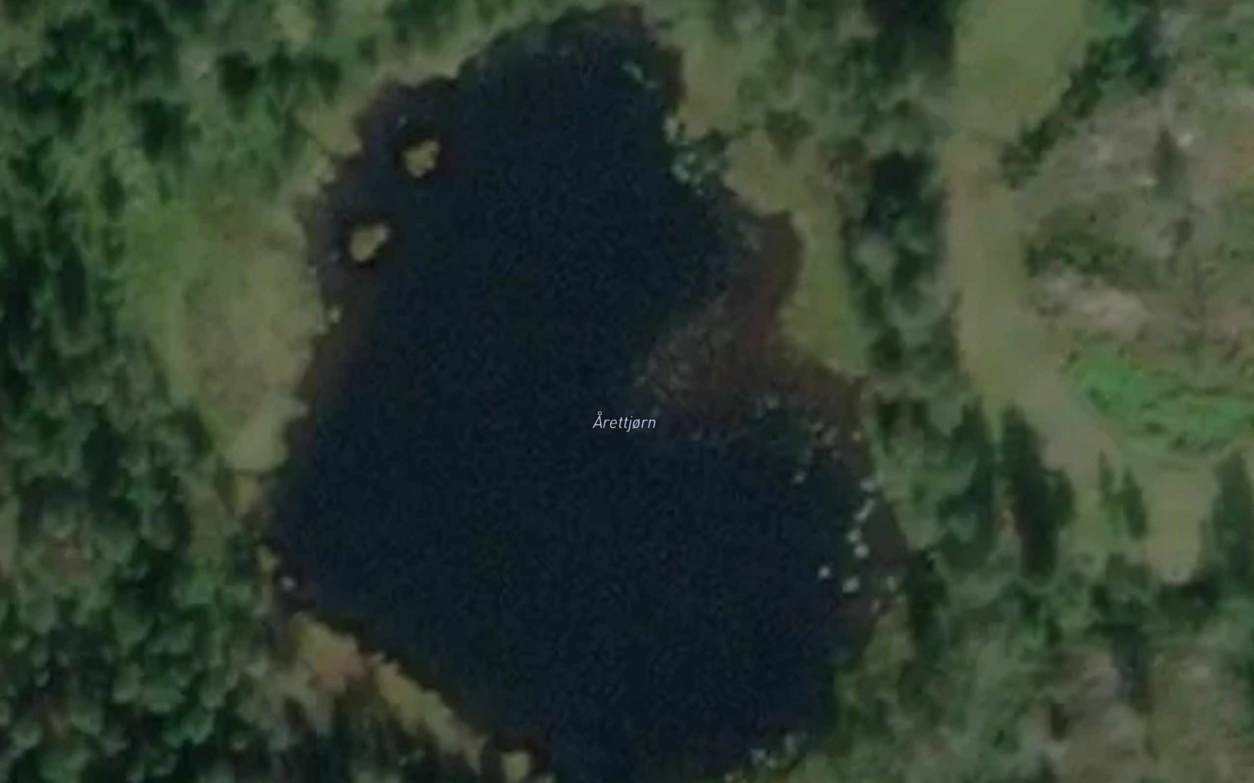 Arettjorn