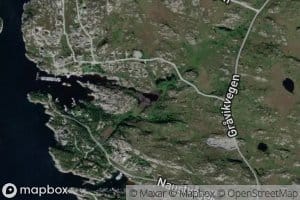 Olsvagtjorna
