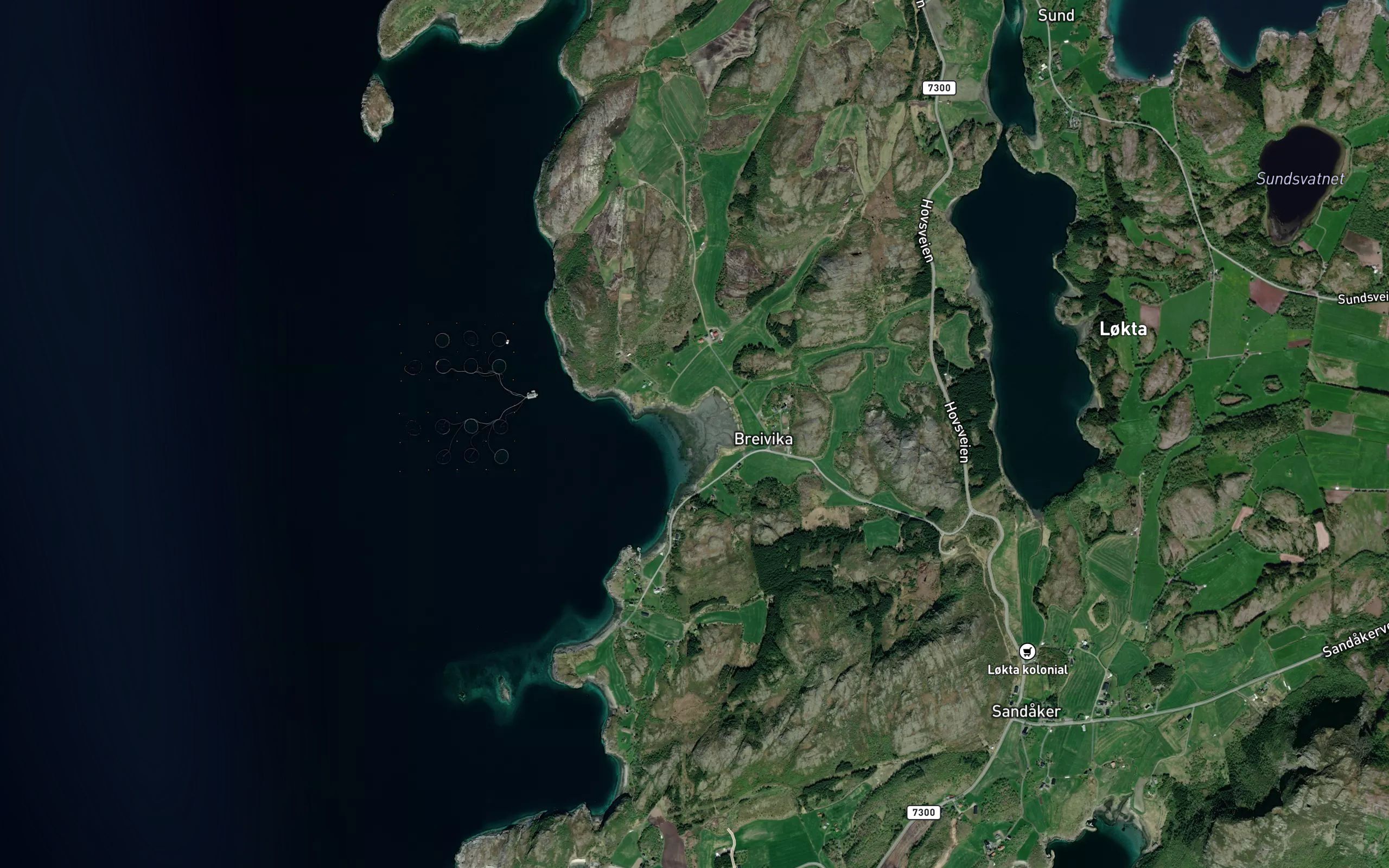 Breidvika