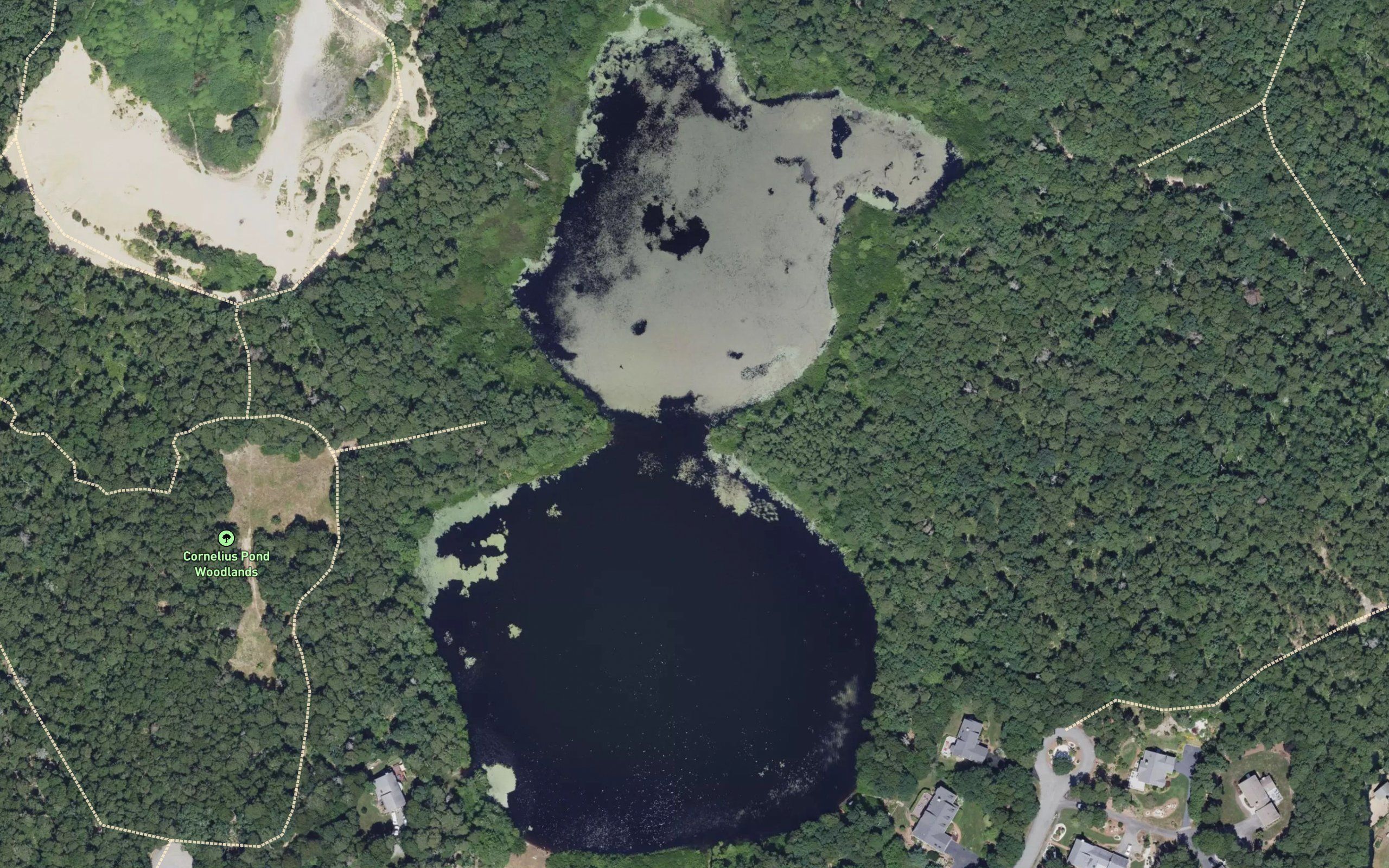Cornelius Pond