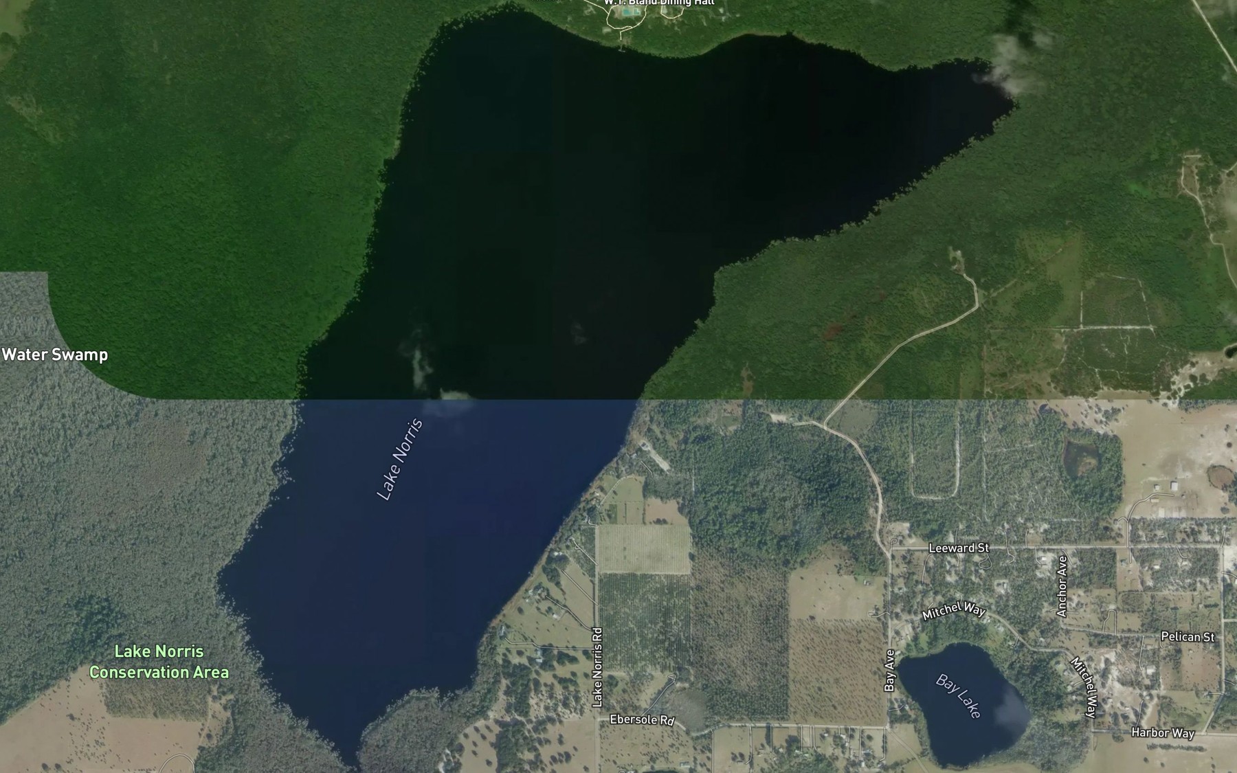Satellite map of the Lake Norris