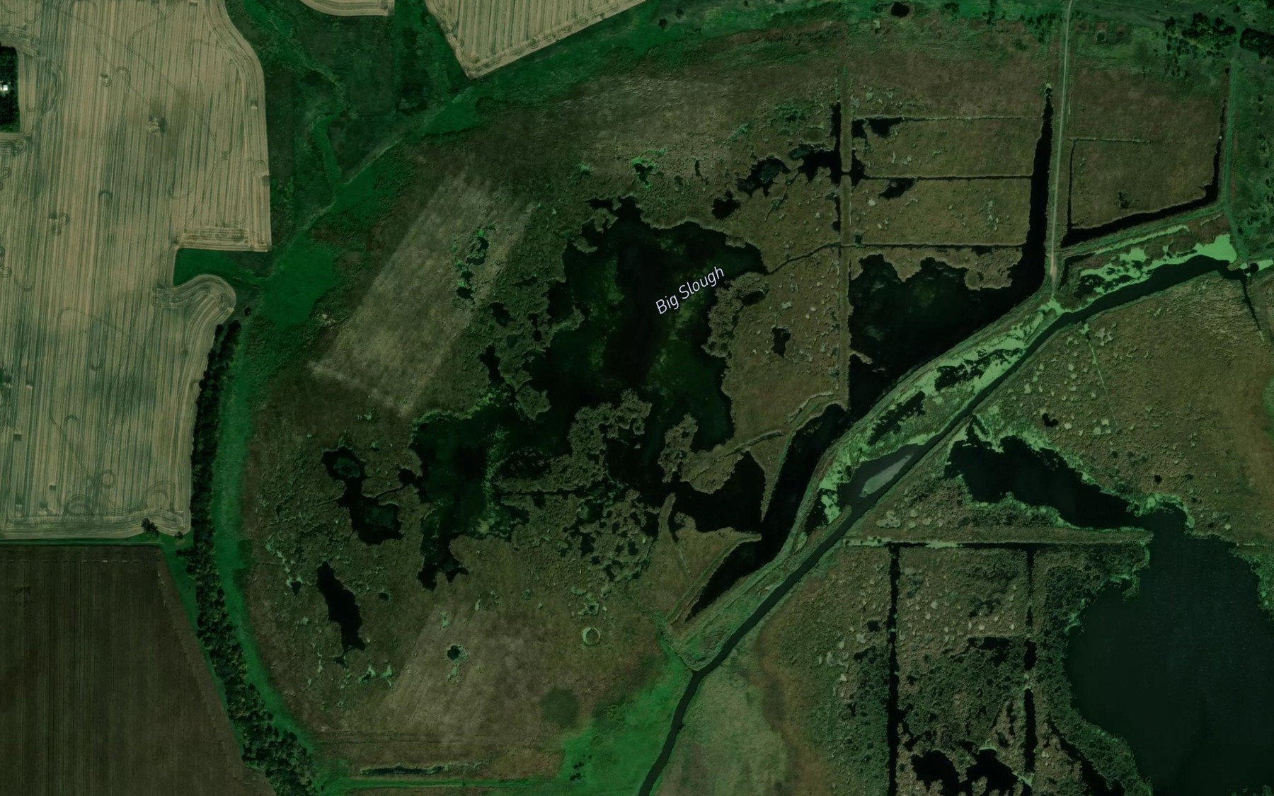 Satellite map of the Big Slough