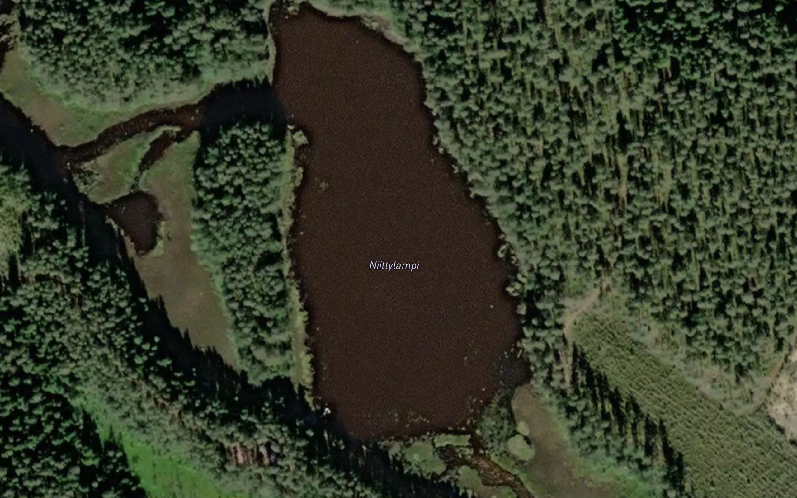 Niittylampi