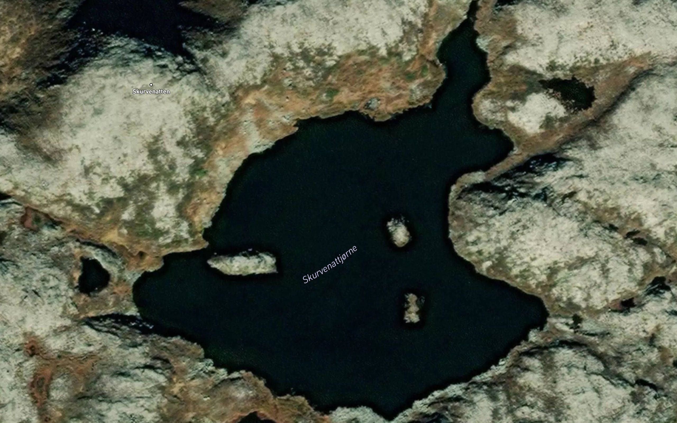 Skurvenatttjodne