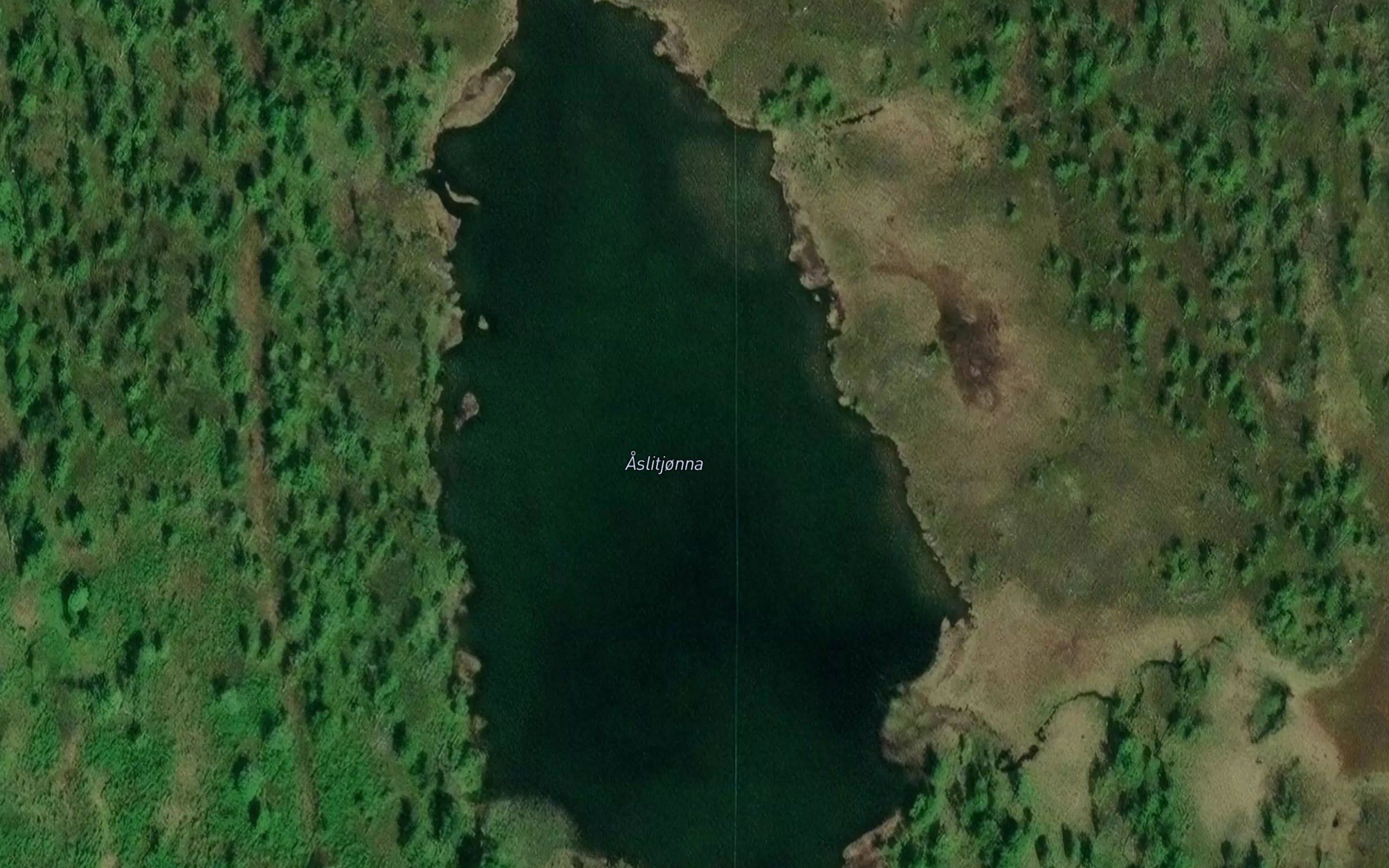 Aslitjorna