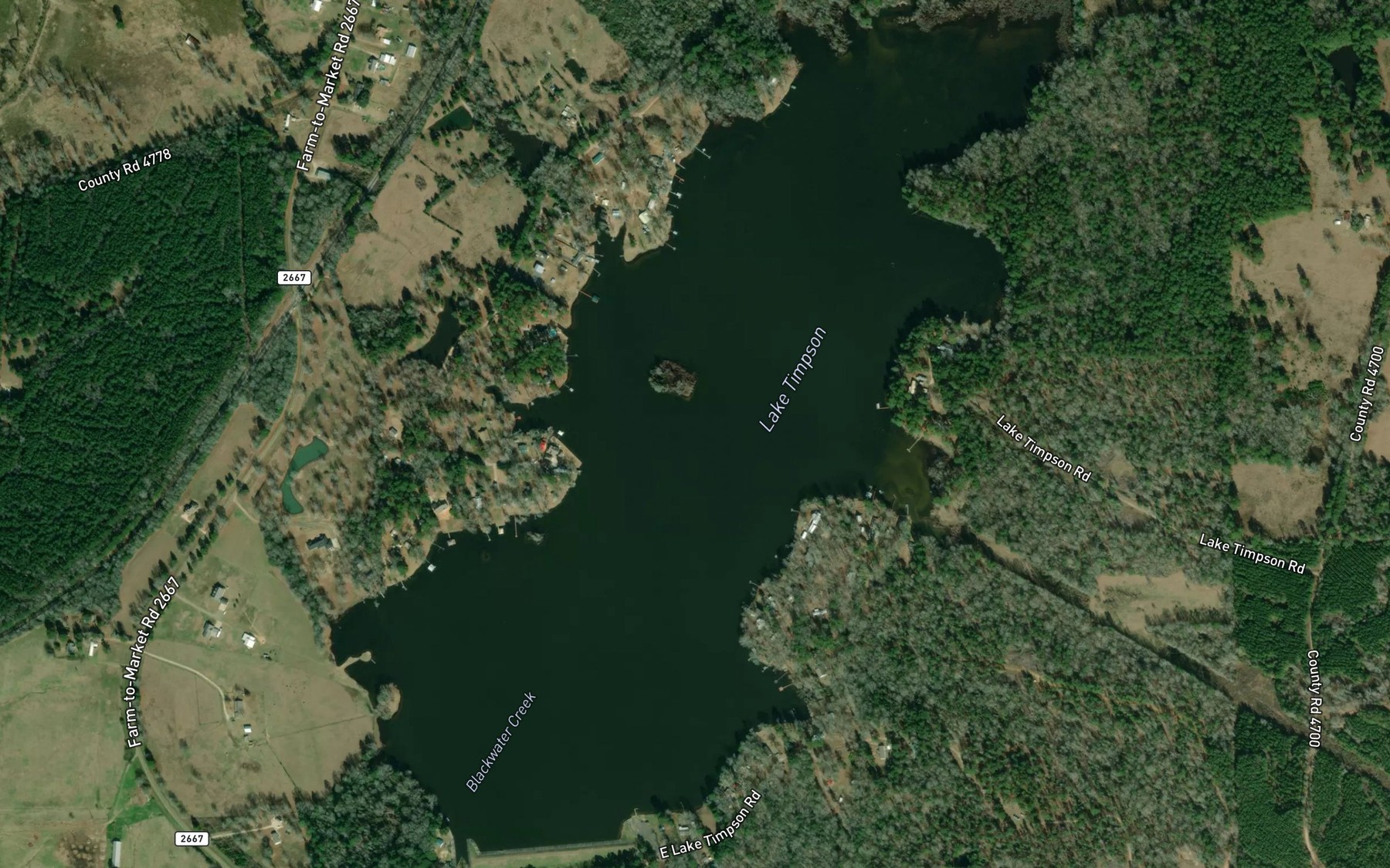 Satellite map of the Lake Timpson