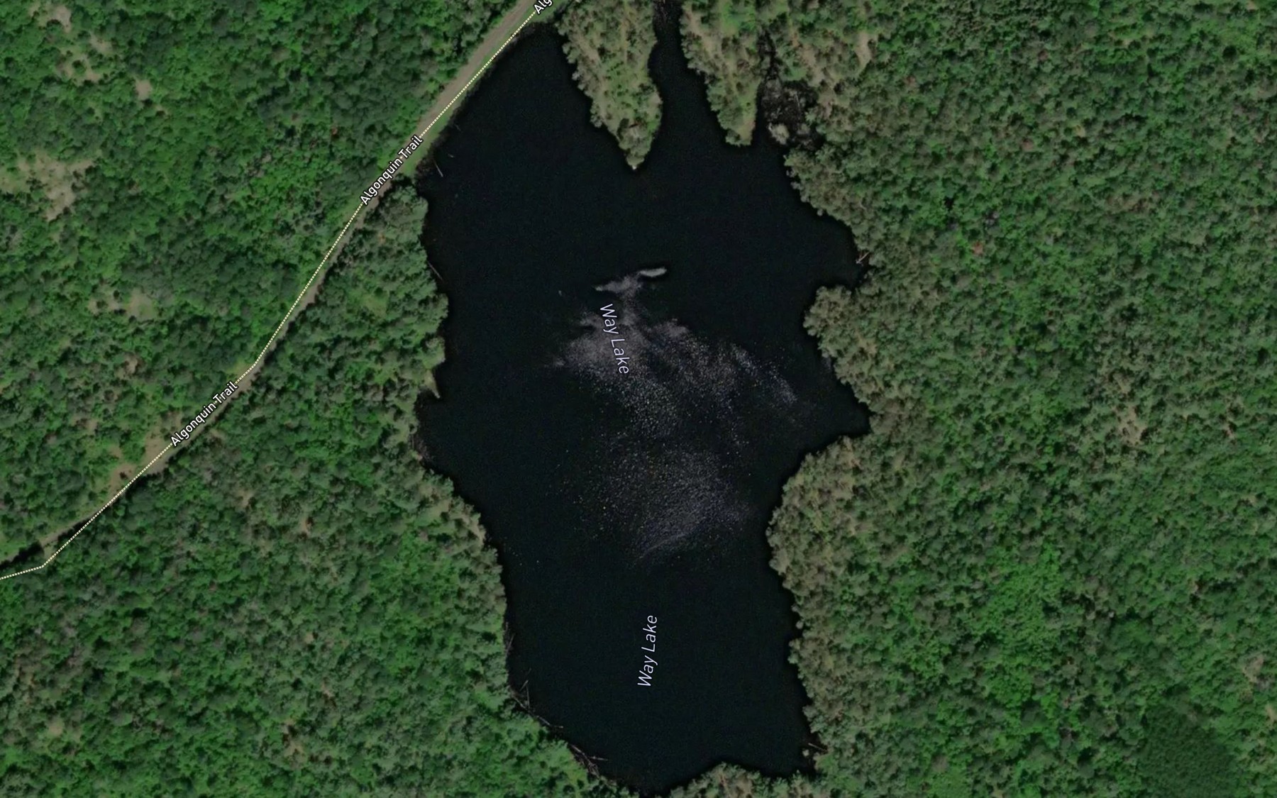 Satellite map of the Way Lake