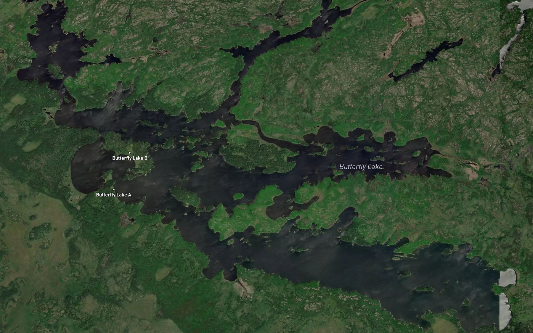 Satellite map of the Butterfly Lake