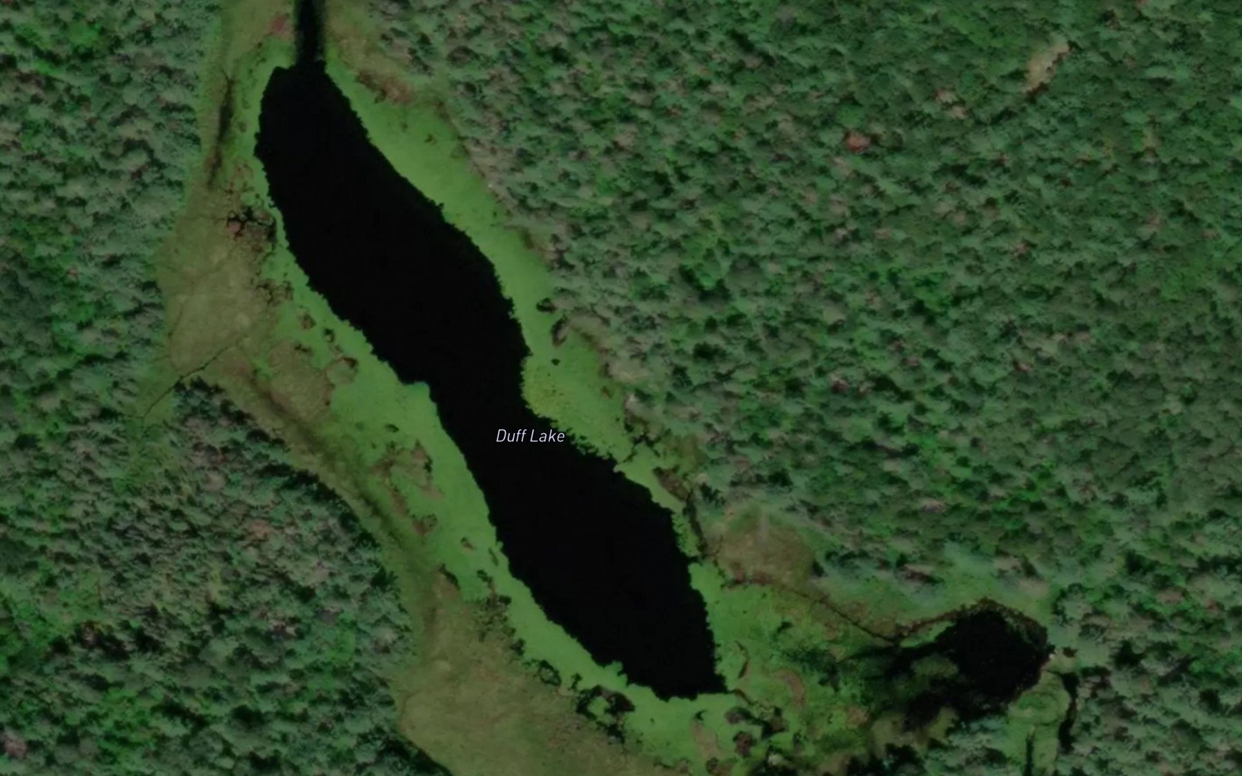 Satellite map of the Duff Lake