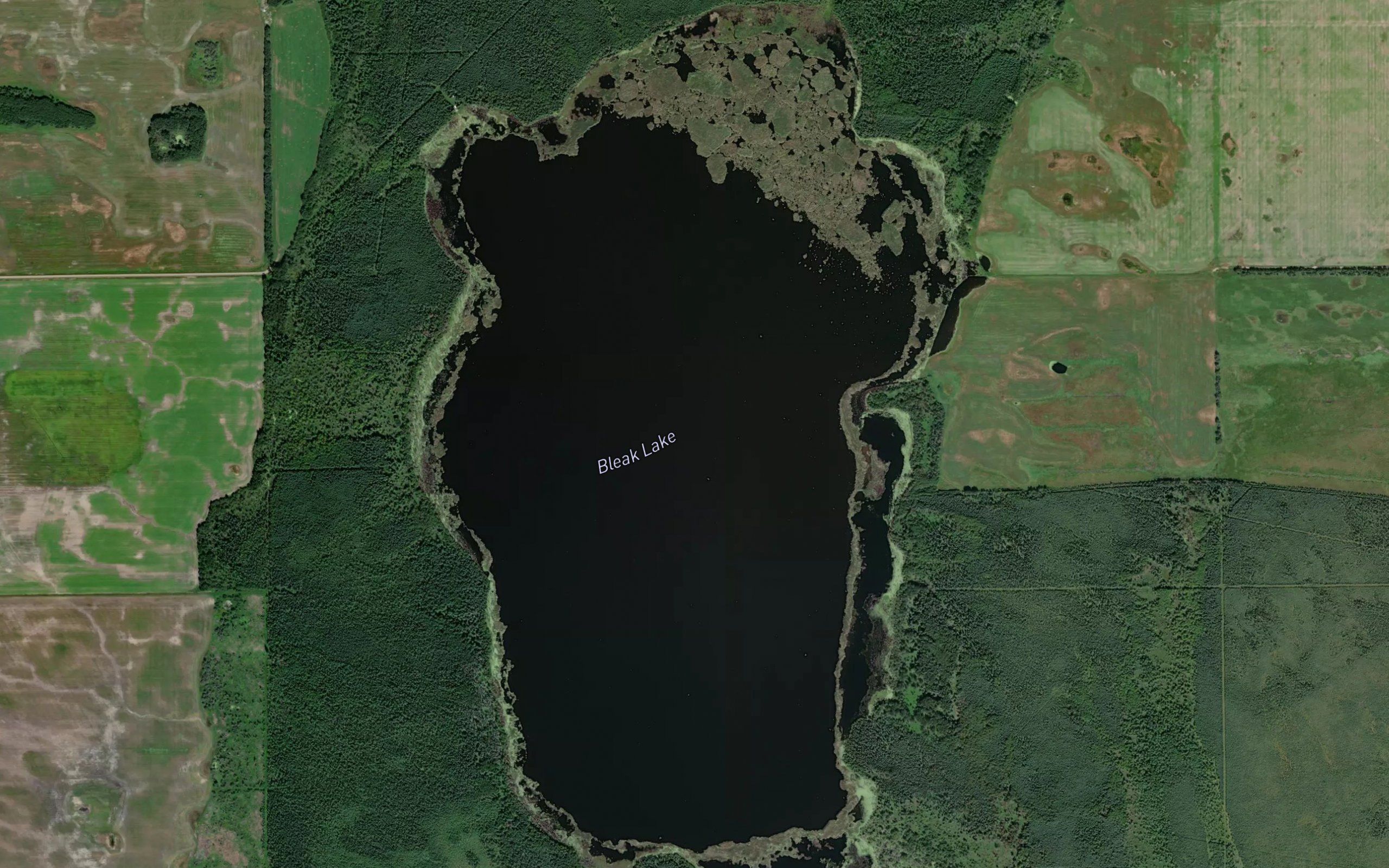 Bleak Lake