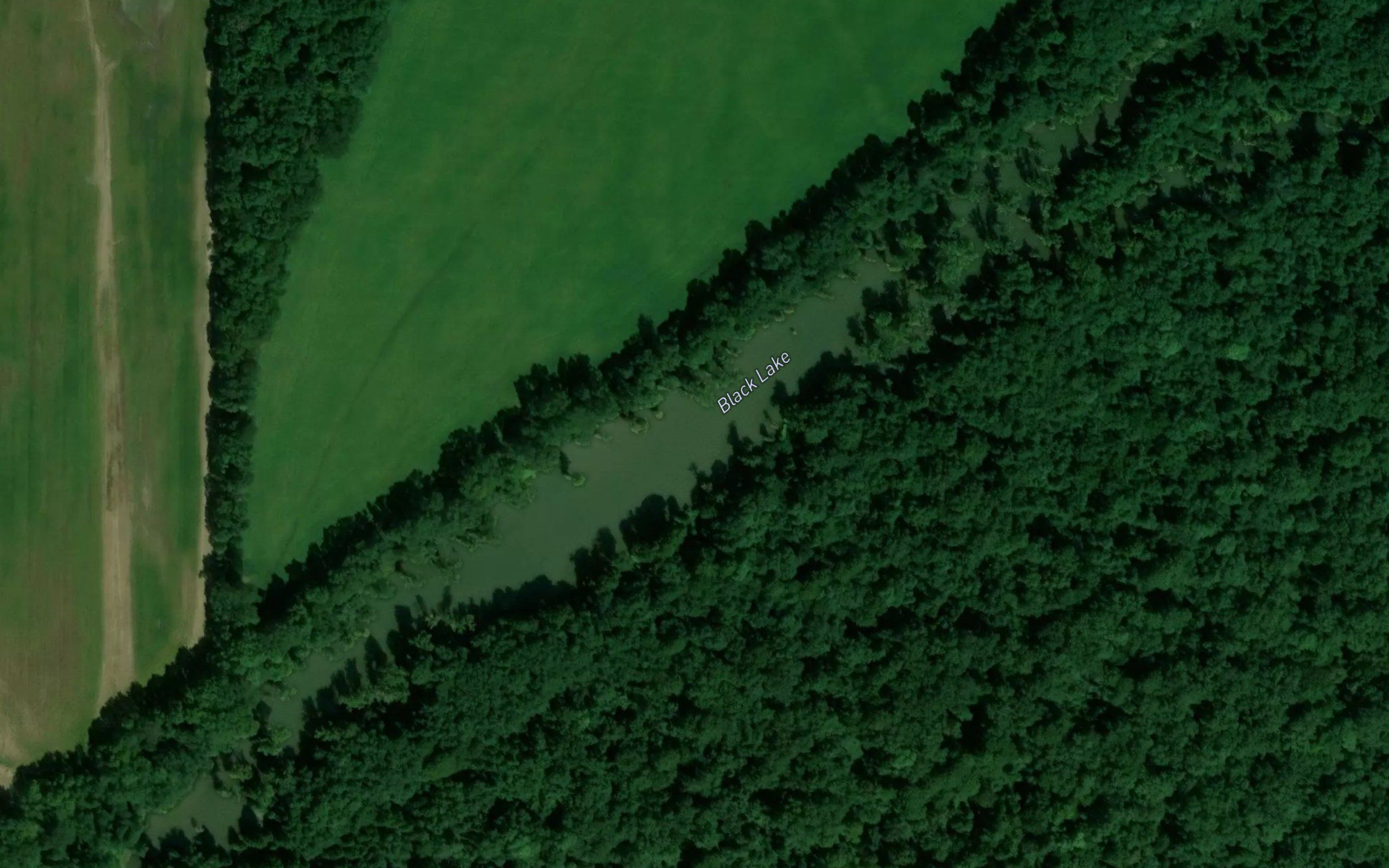 Black Lake
