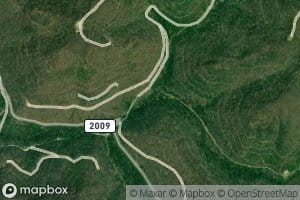 Left Fork Bill Branch