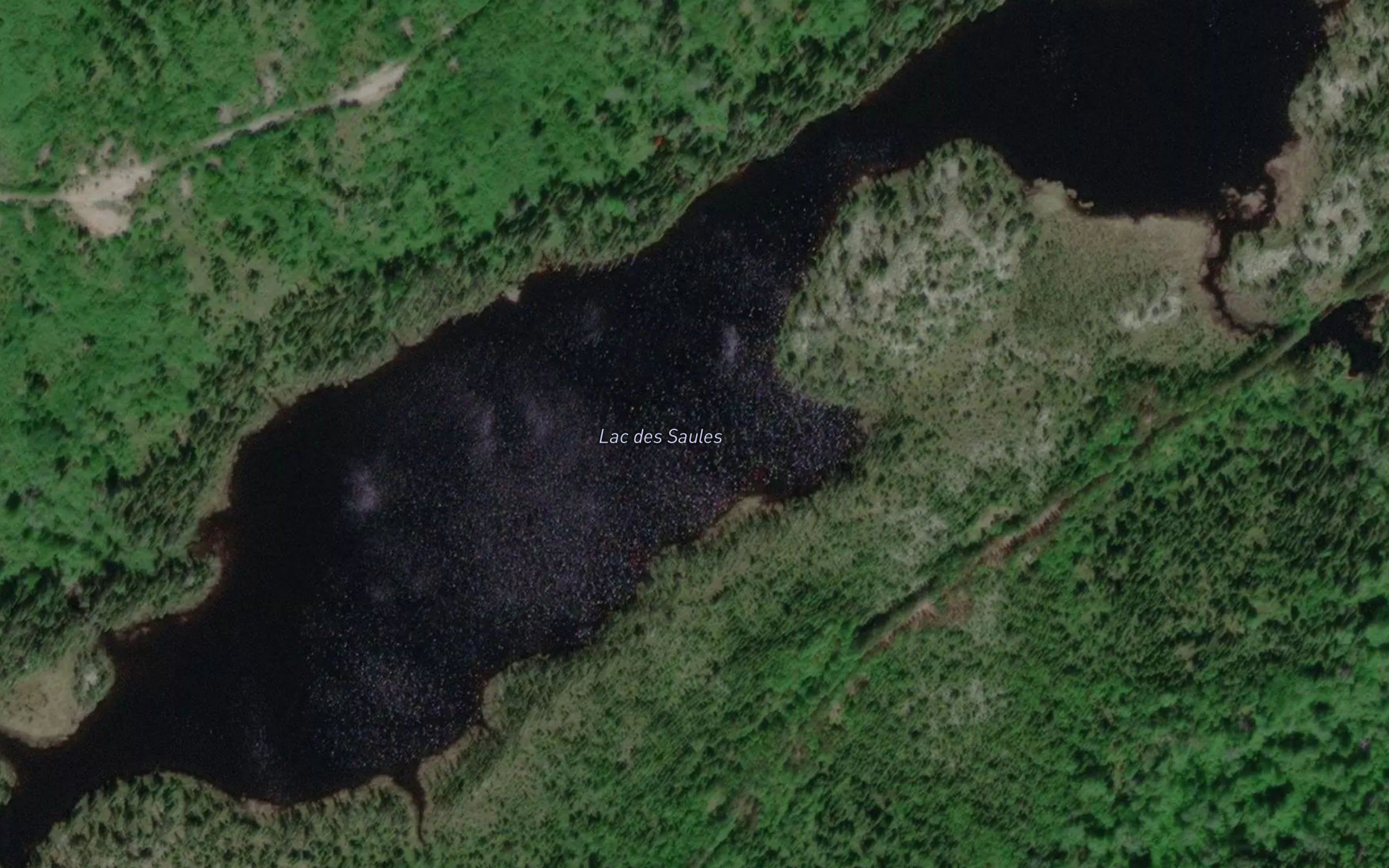 Lac des Saules