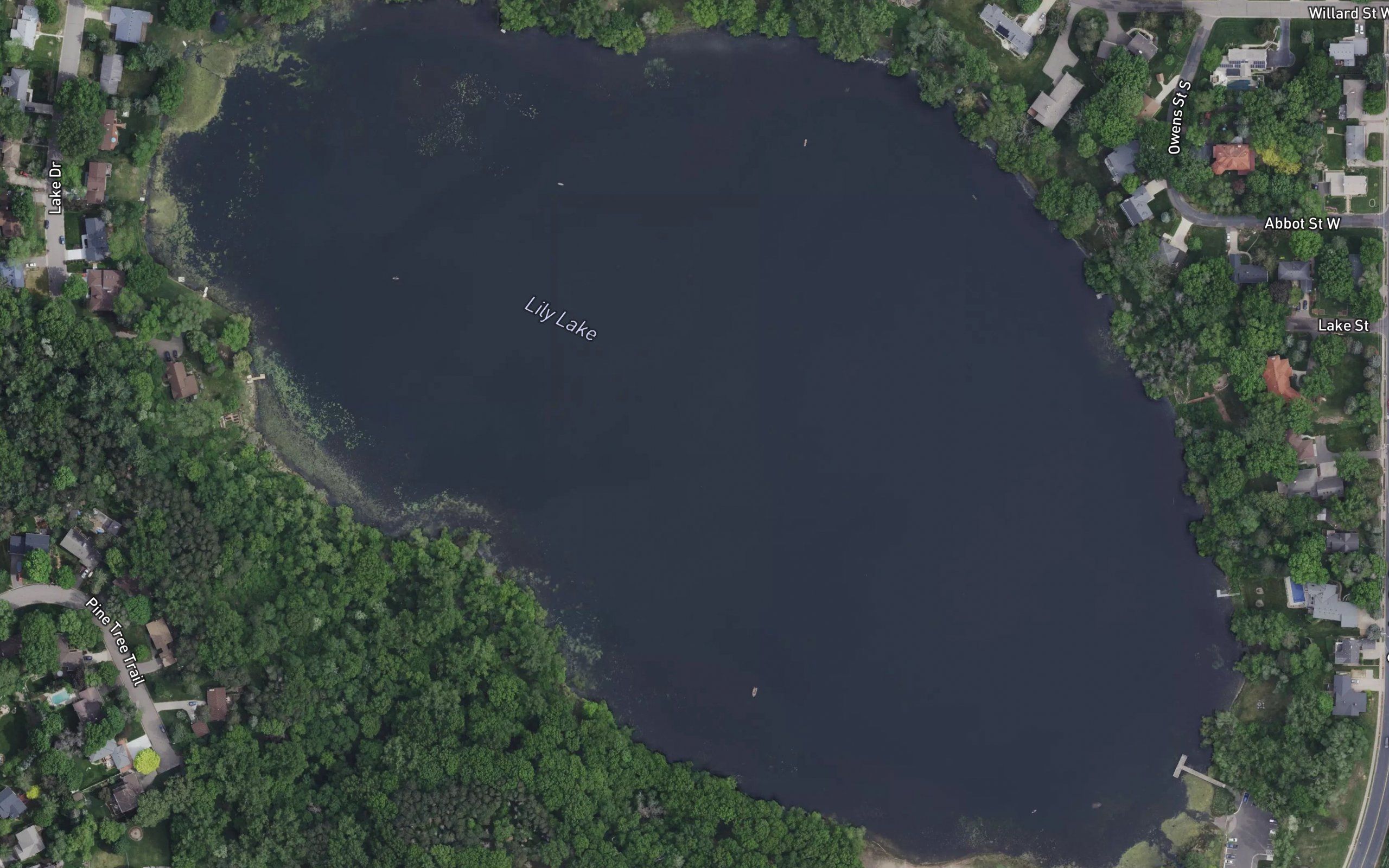 Lily Lake