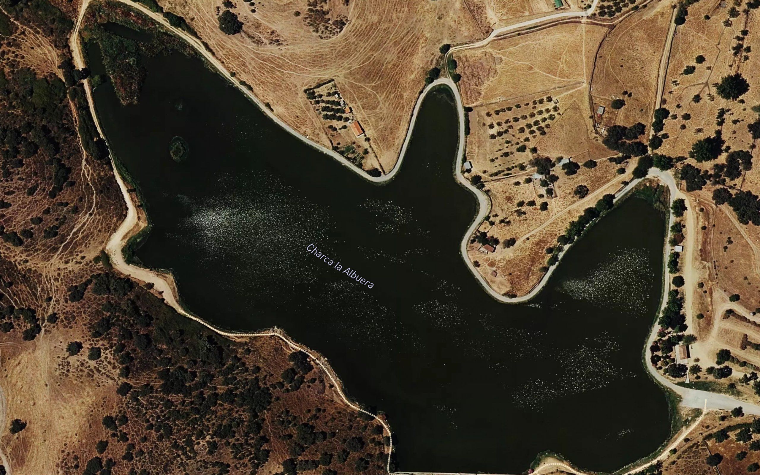Pantano de la Albuera