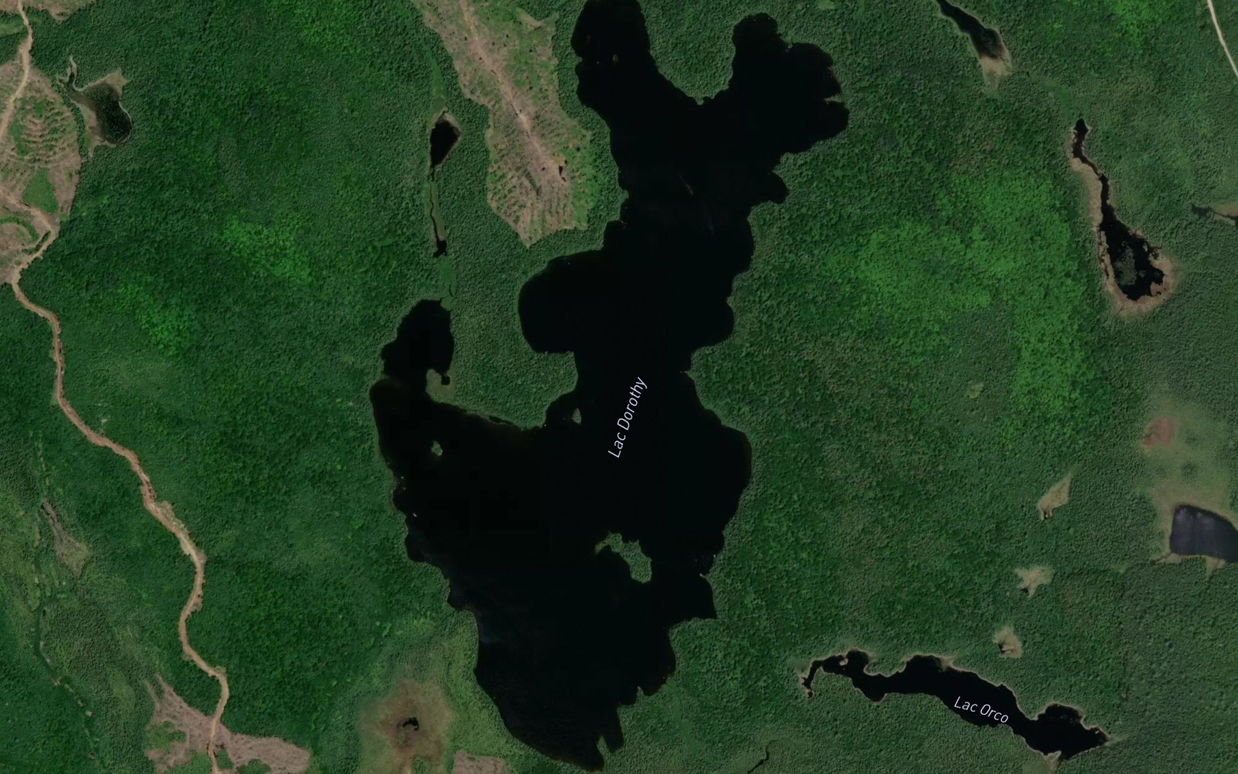 Satellite map of the Lac Dorothy