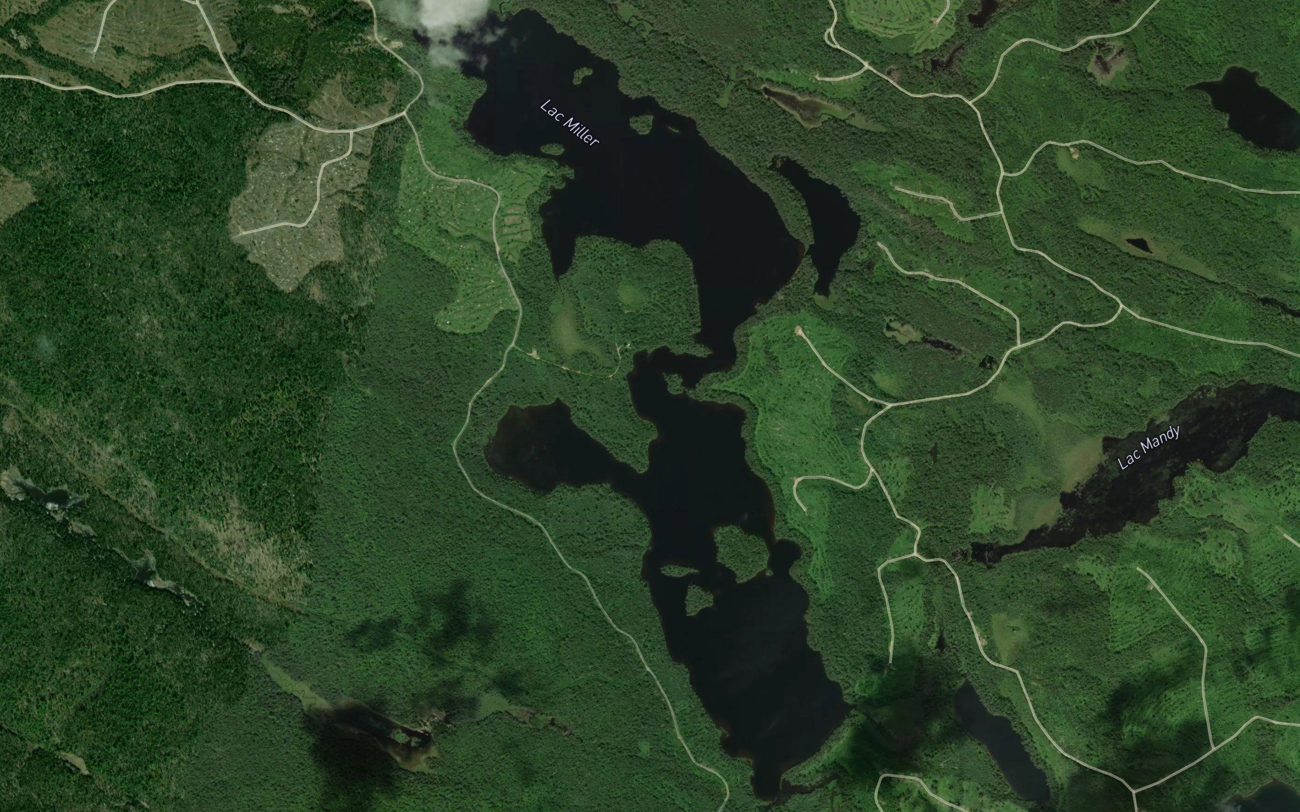 Lac Miller