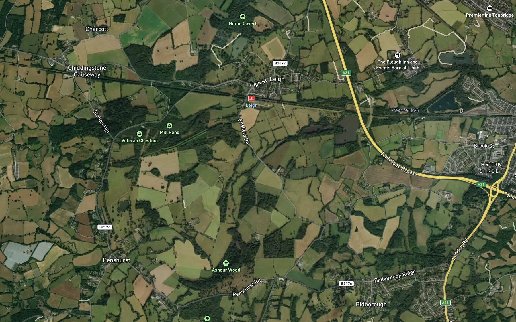 River Medway Fishing in England 2026 — Live Reports, Forecast & AI ...