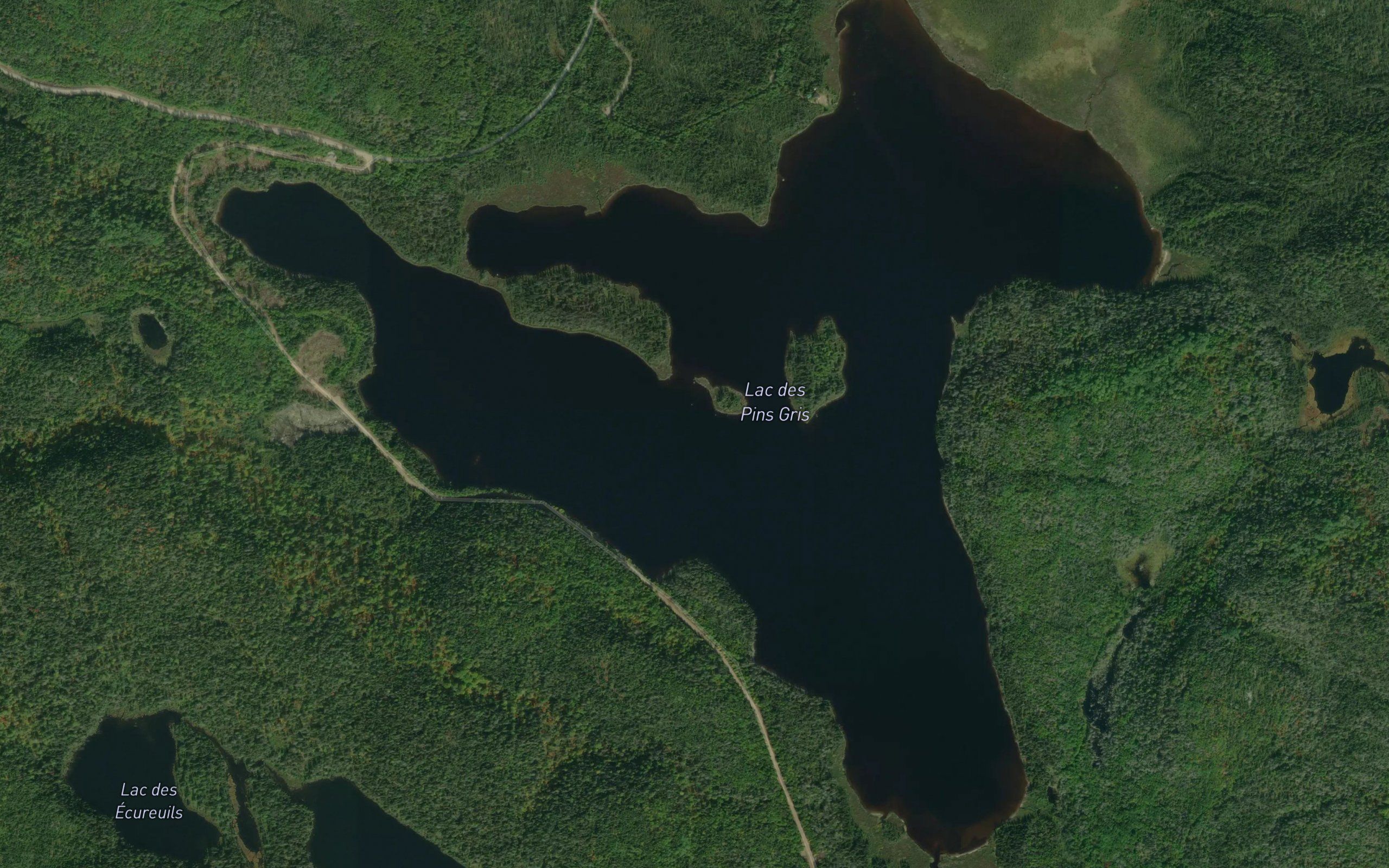Lac des Pins Gris