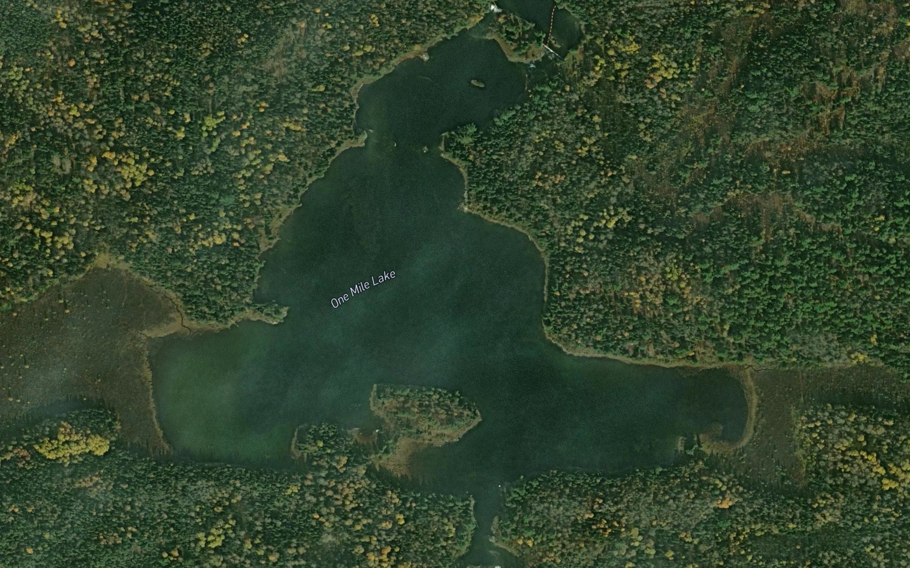 Satellite map of the One Mile Lake
