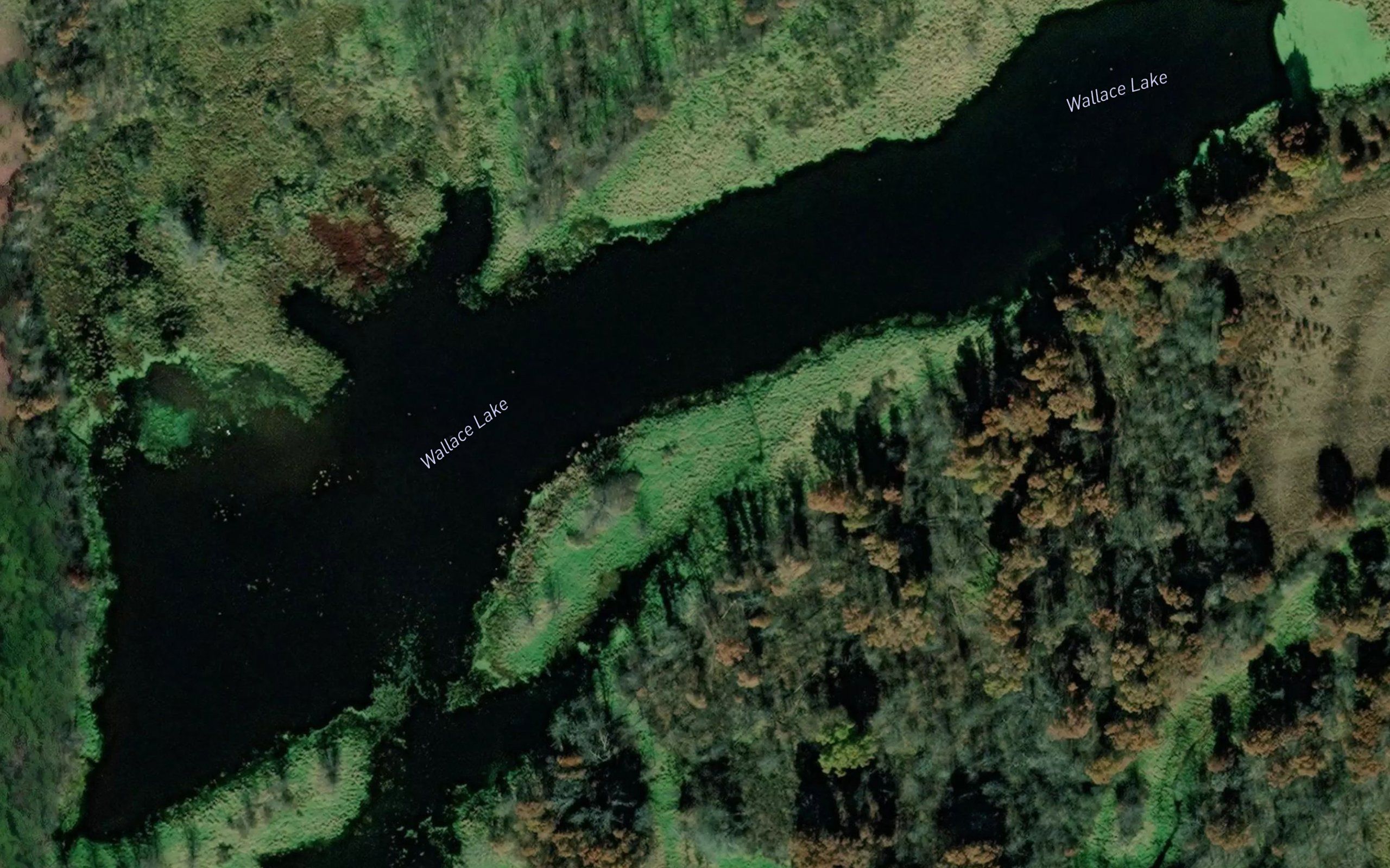 Wallace Lake