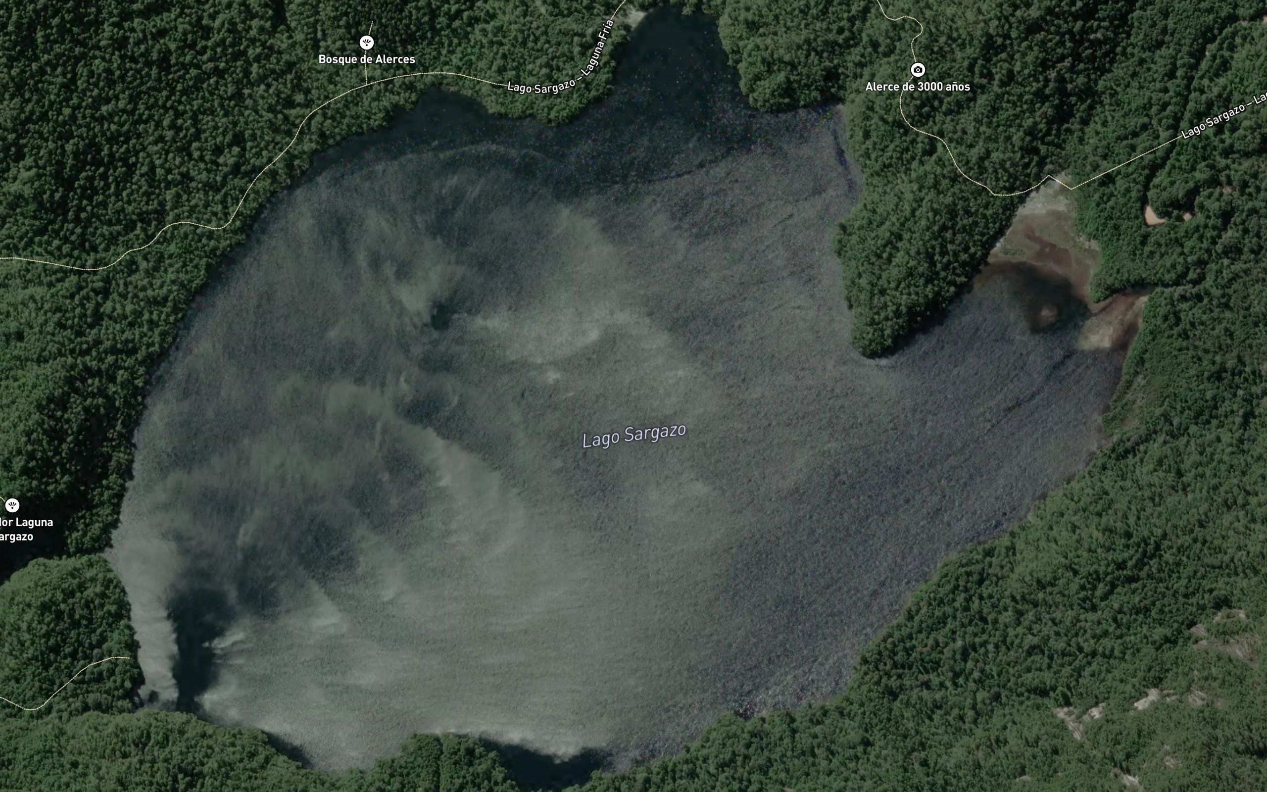 Laguna Sargazo