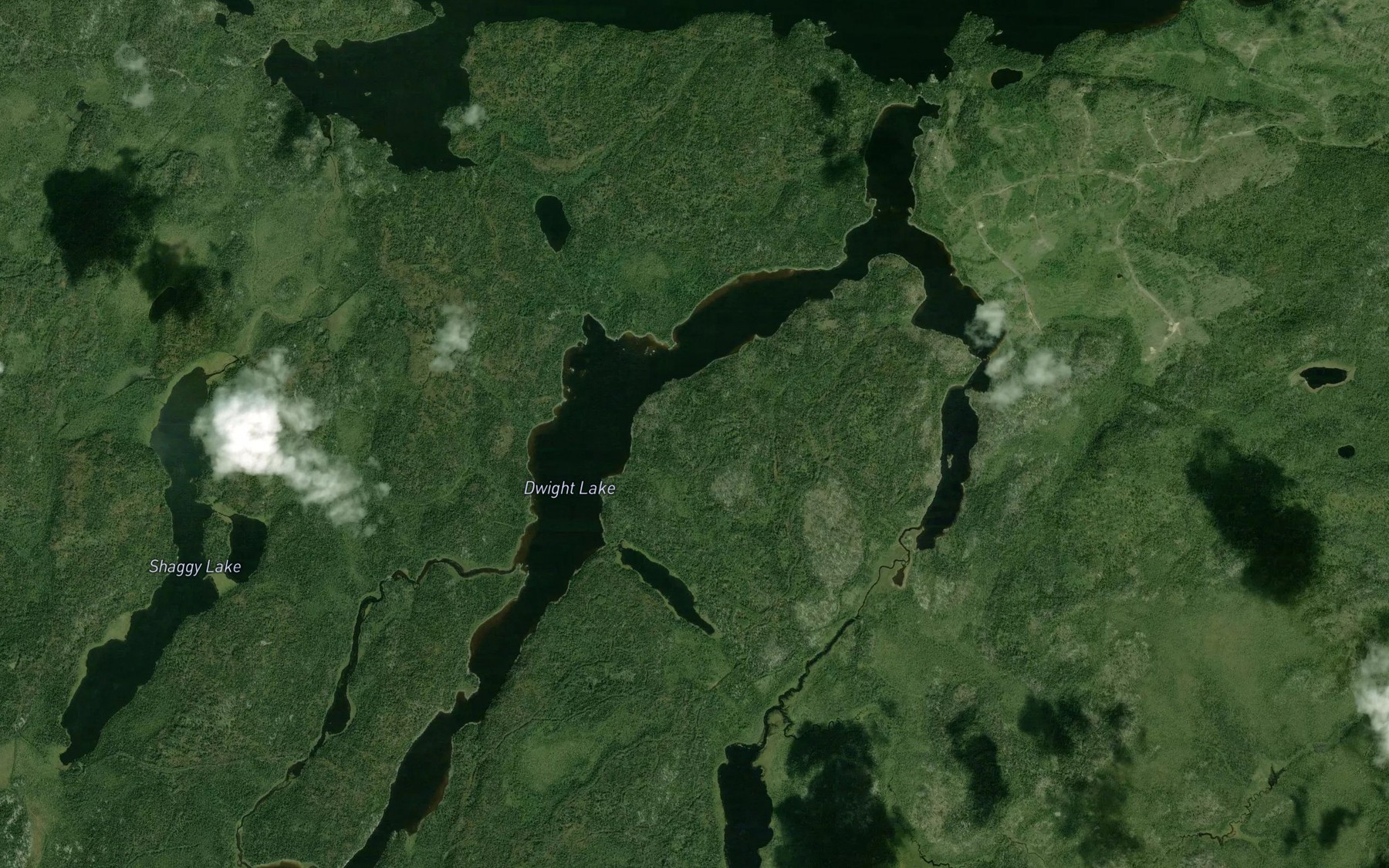 Satellite map of the Dwight Lake
