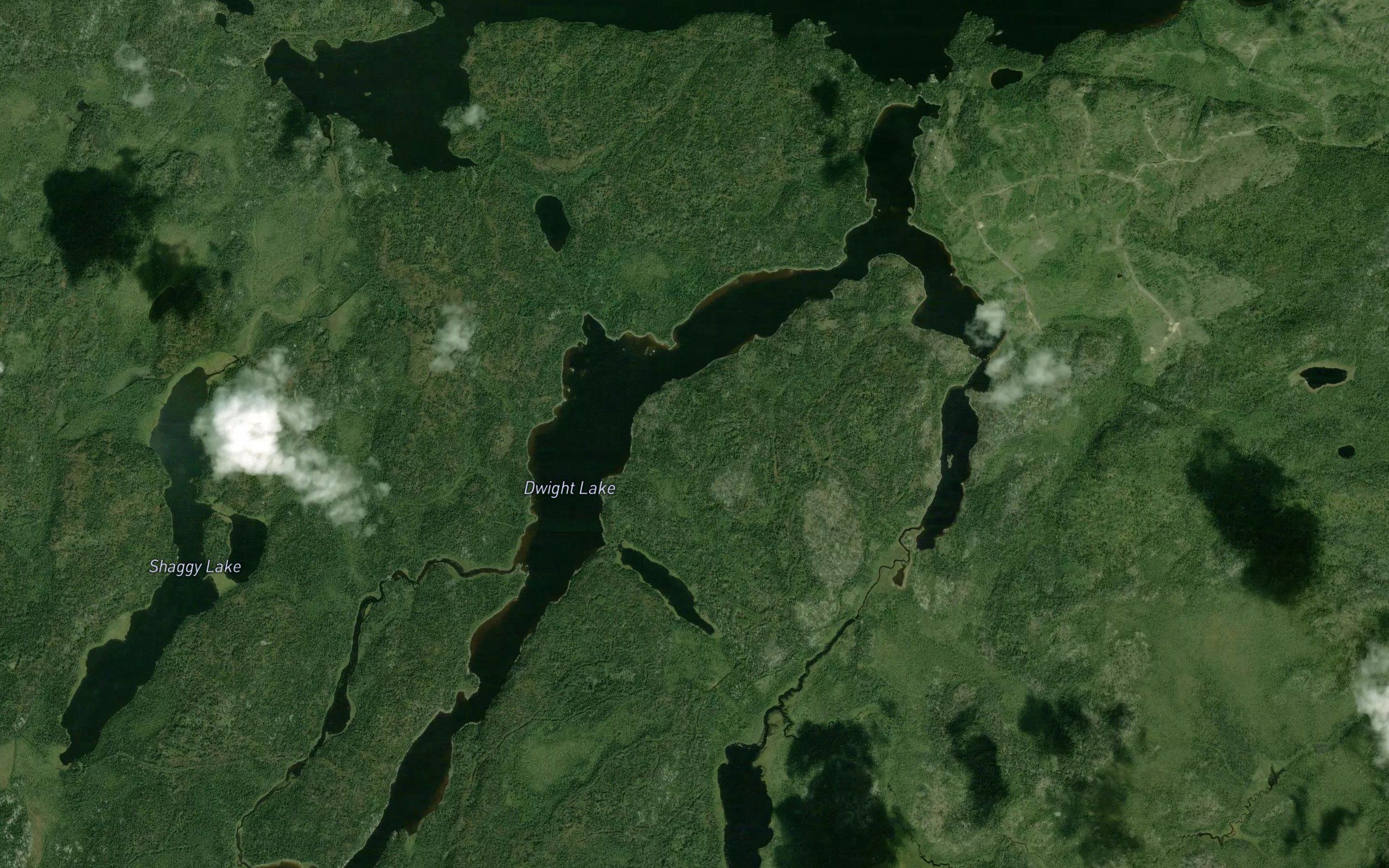 Dwight Lake