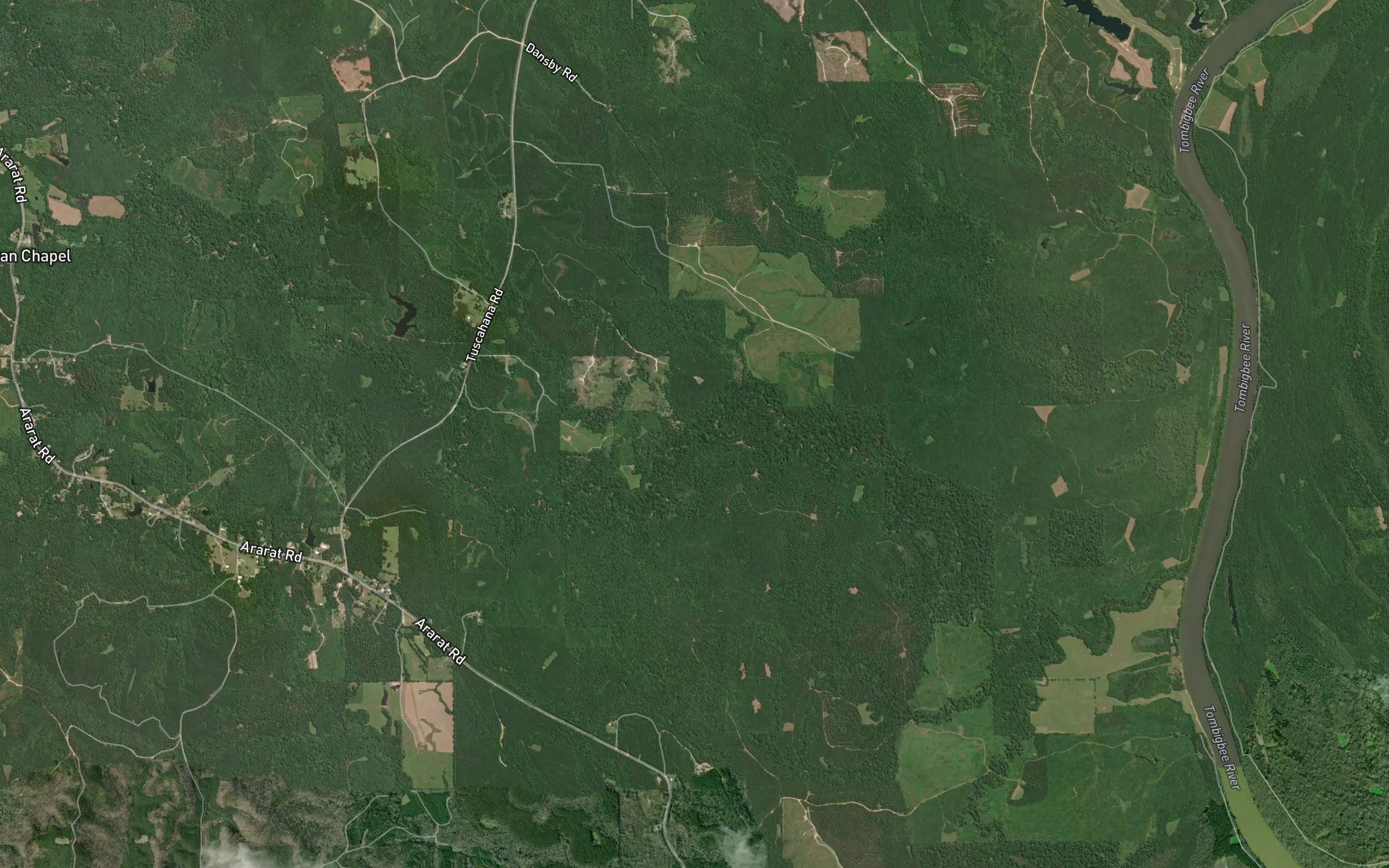 Opossum Branch