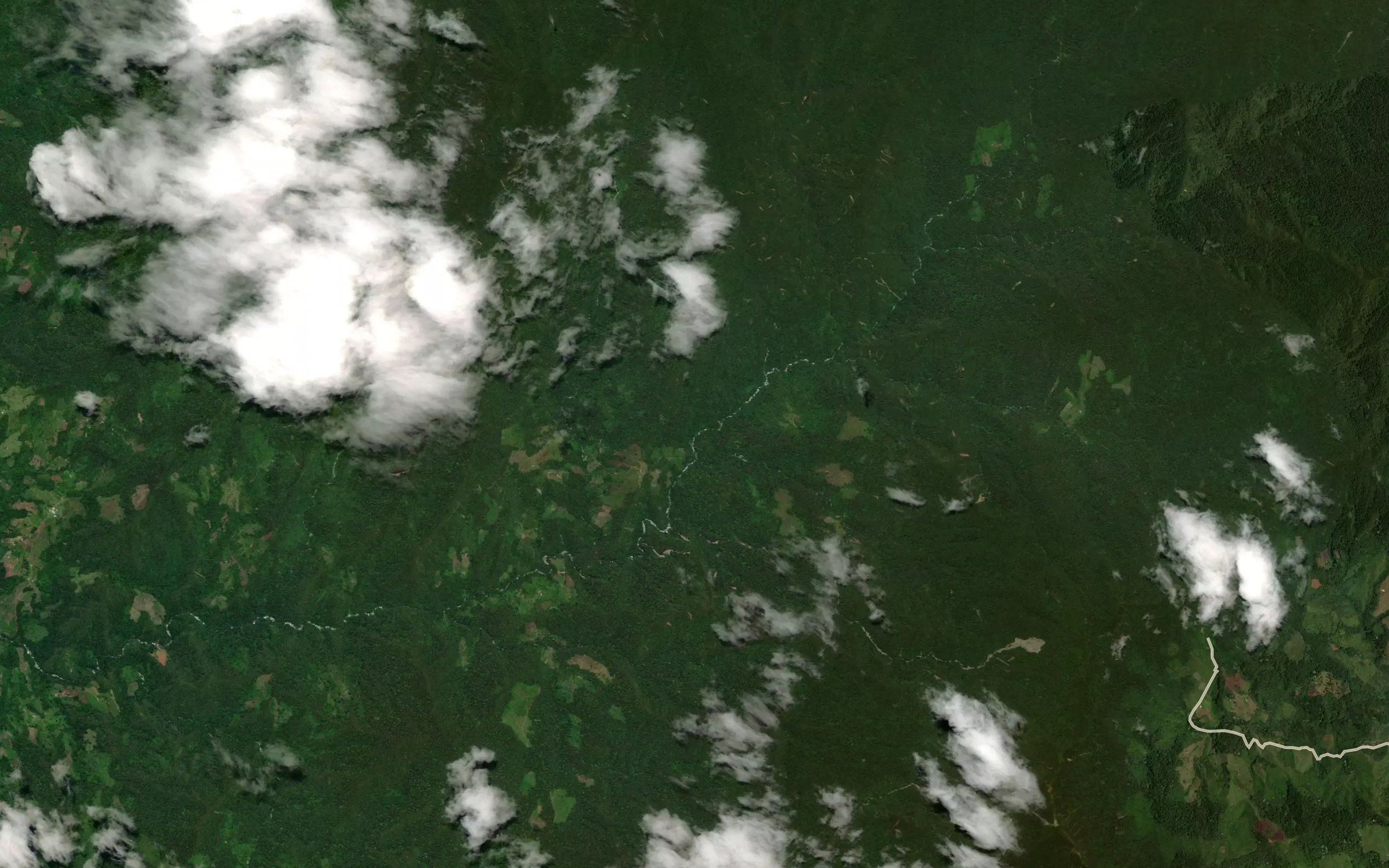 Quebrada El Cedral
