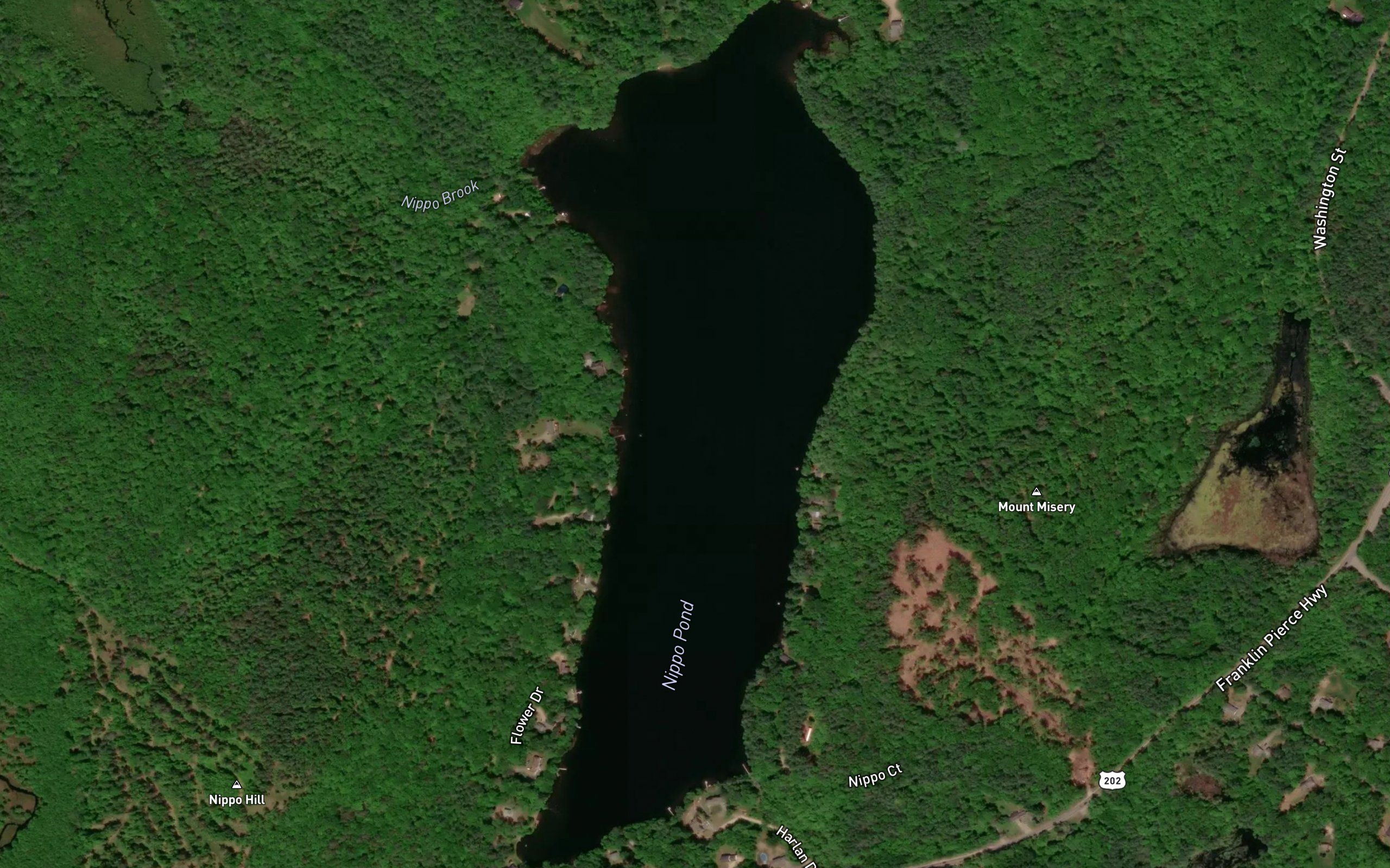Nippo Pond