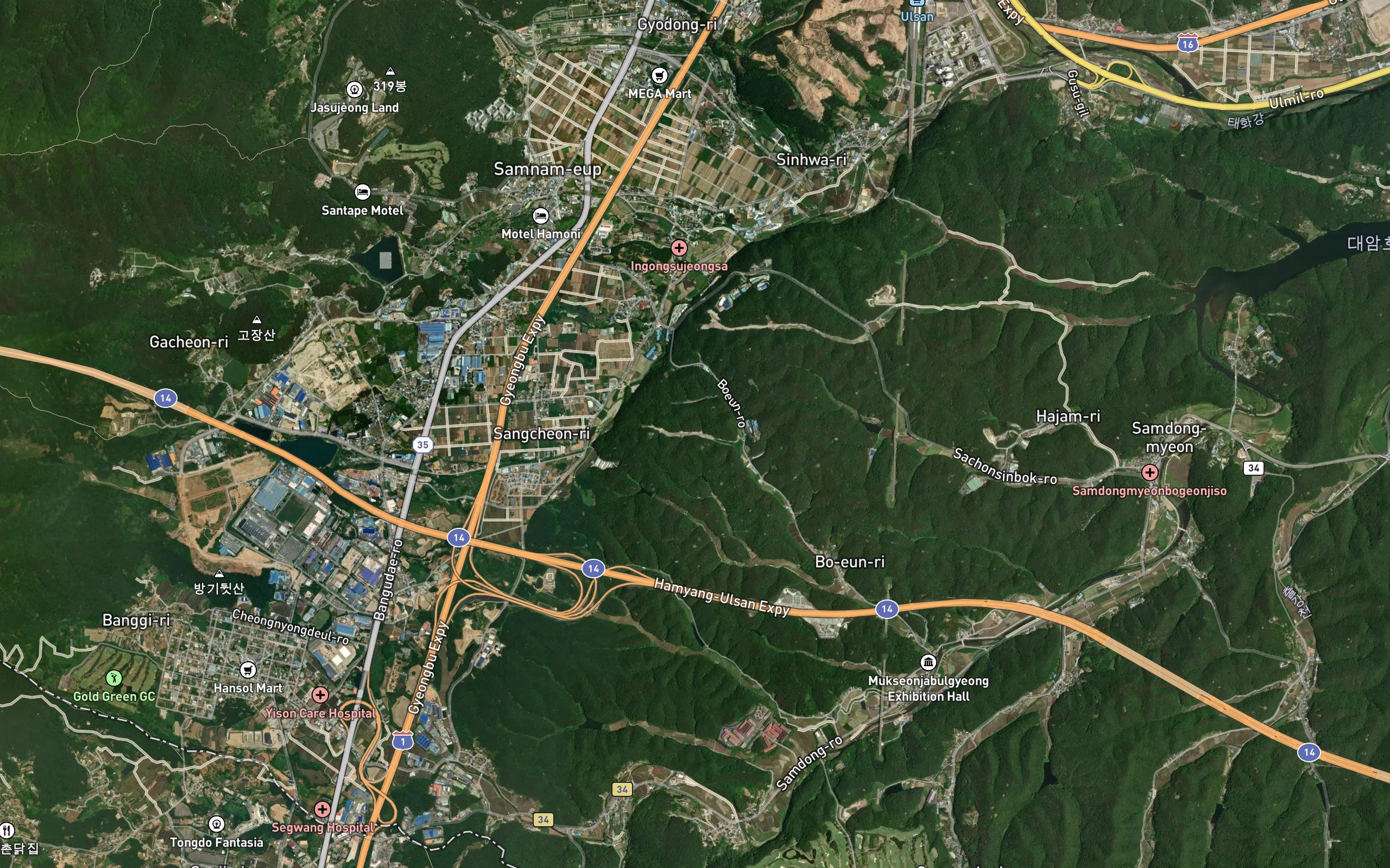 Iyeongbakgolmot