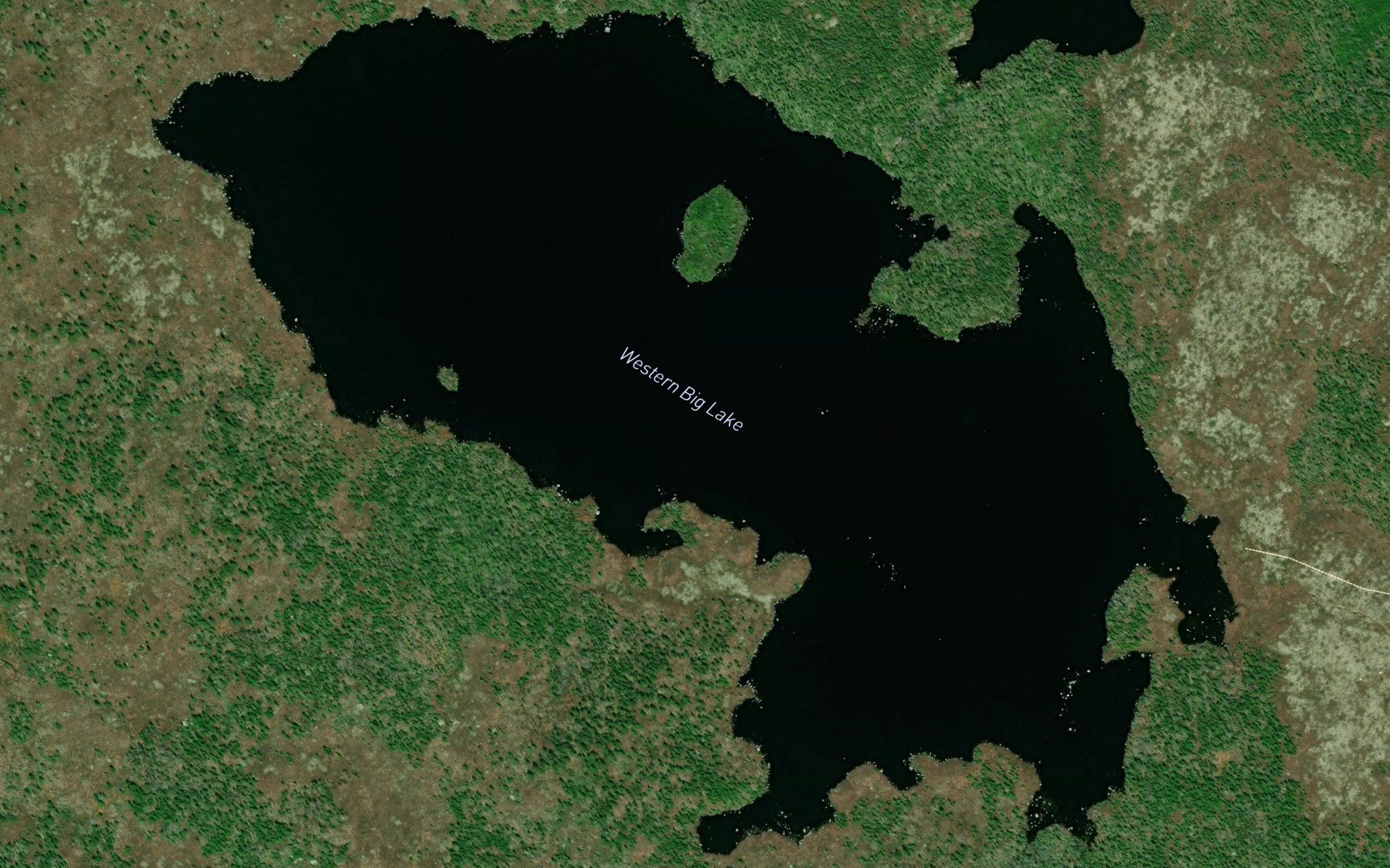 Western Big Lake