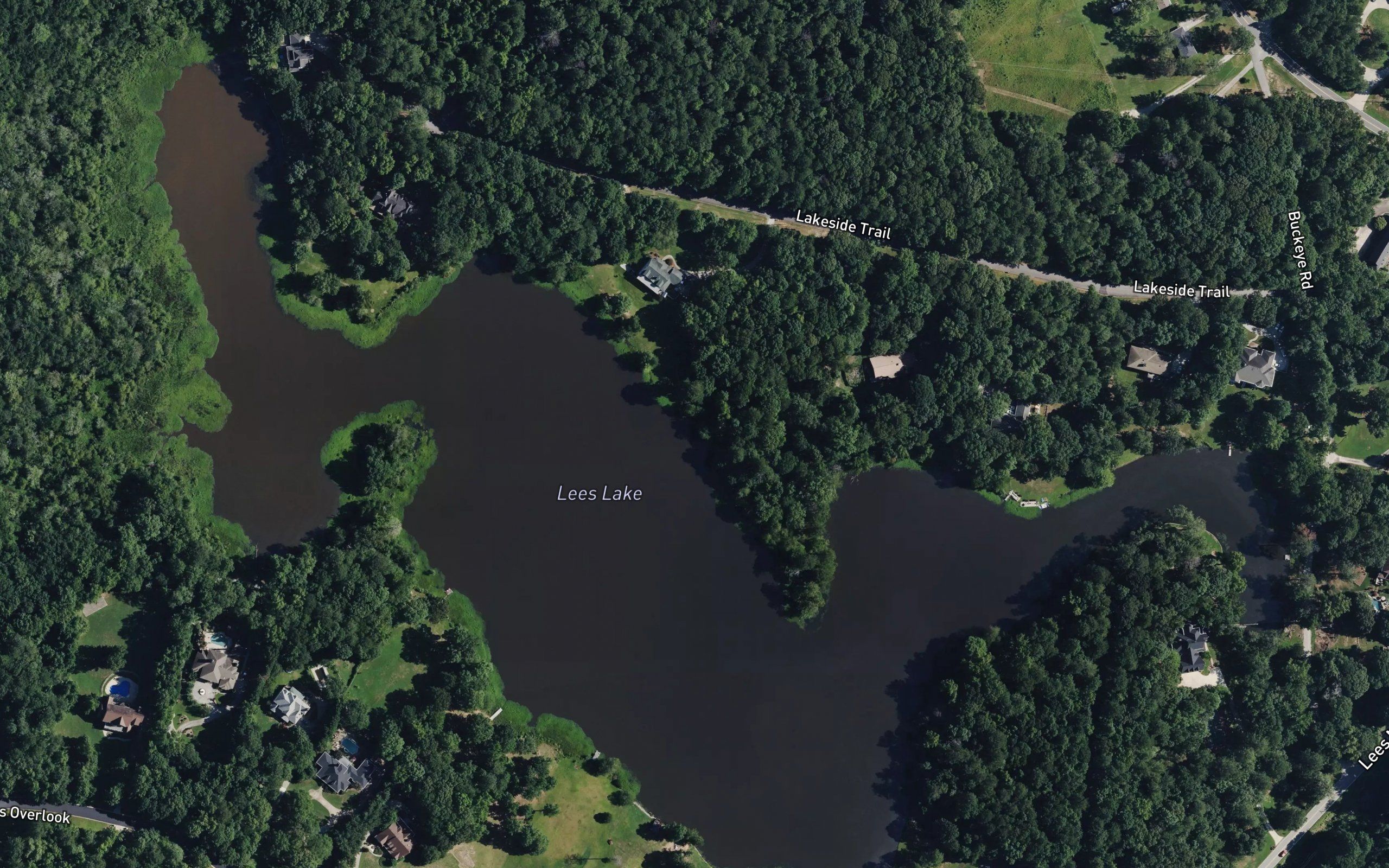 Lees Lake
