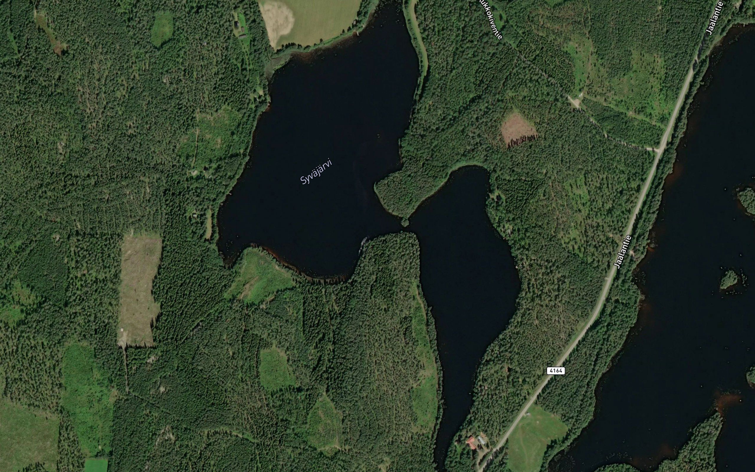 Ruokepuolinen