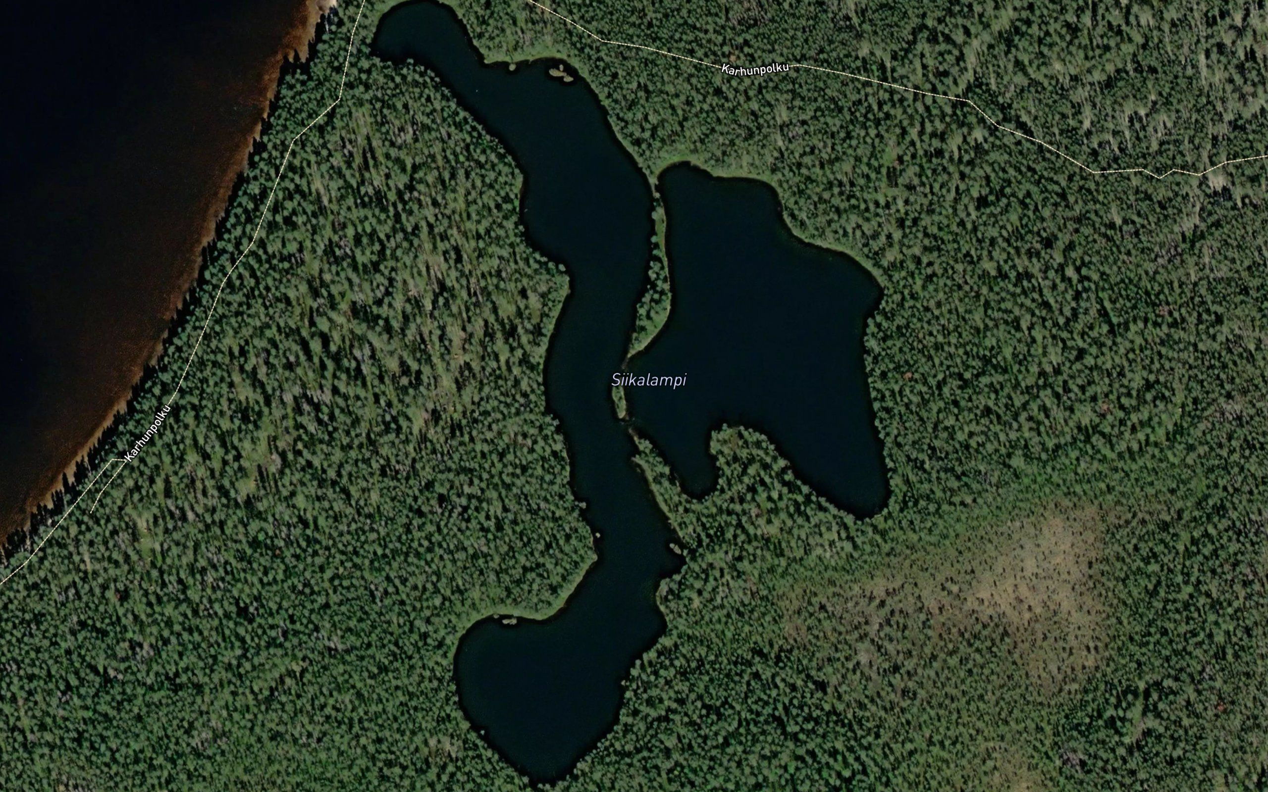 Siikalampi