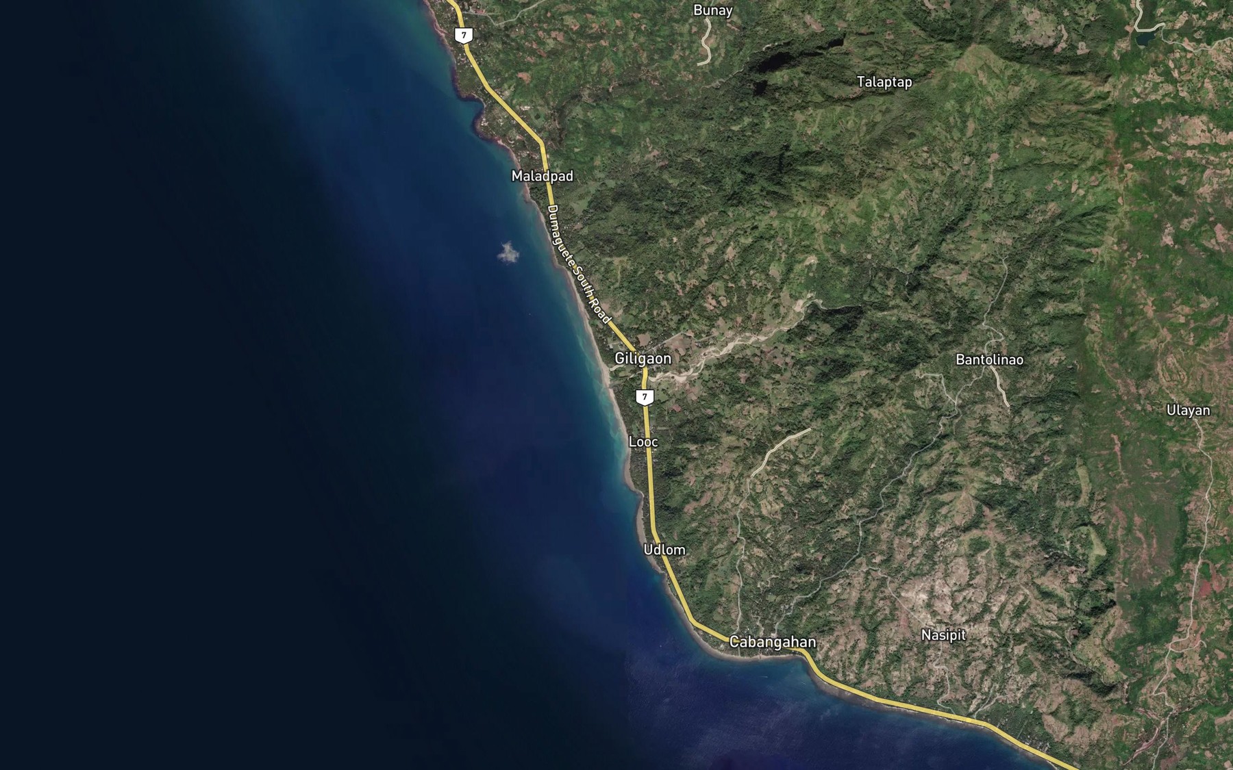 Satellite map of the Giligaon River