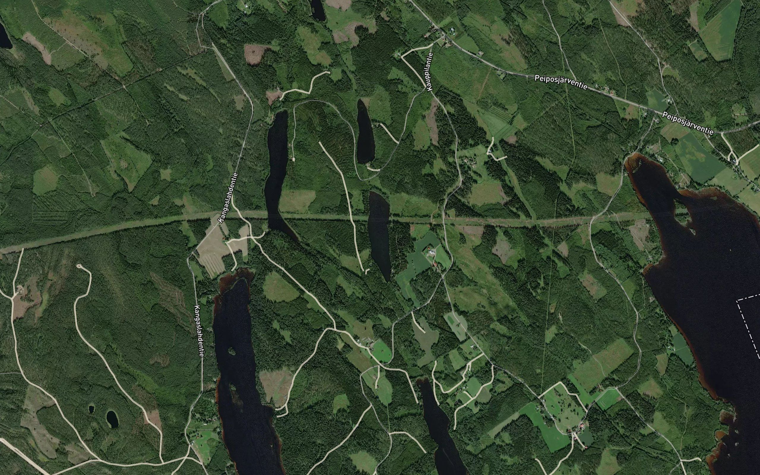 Valkeinen